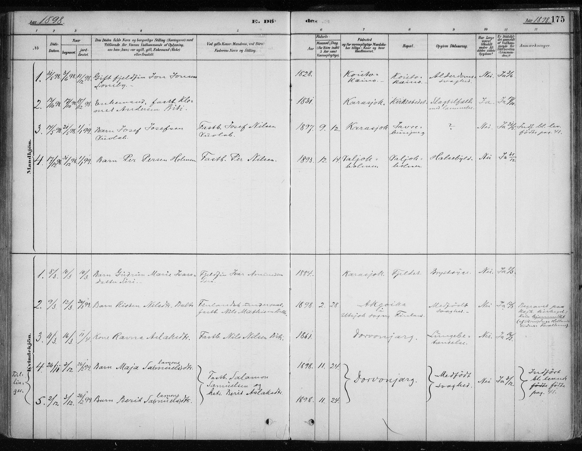 Karasjok sokneprestkontor, SATØ/S-1352/H/Ha/L0002kirke: Parish register (official) no. 2, 1885-1906, p. 175