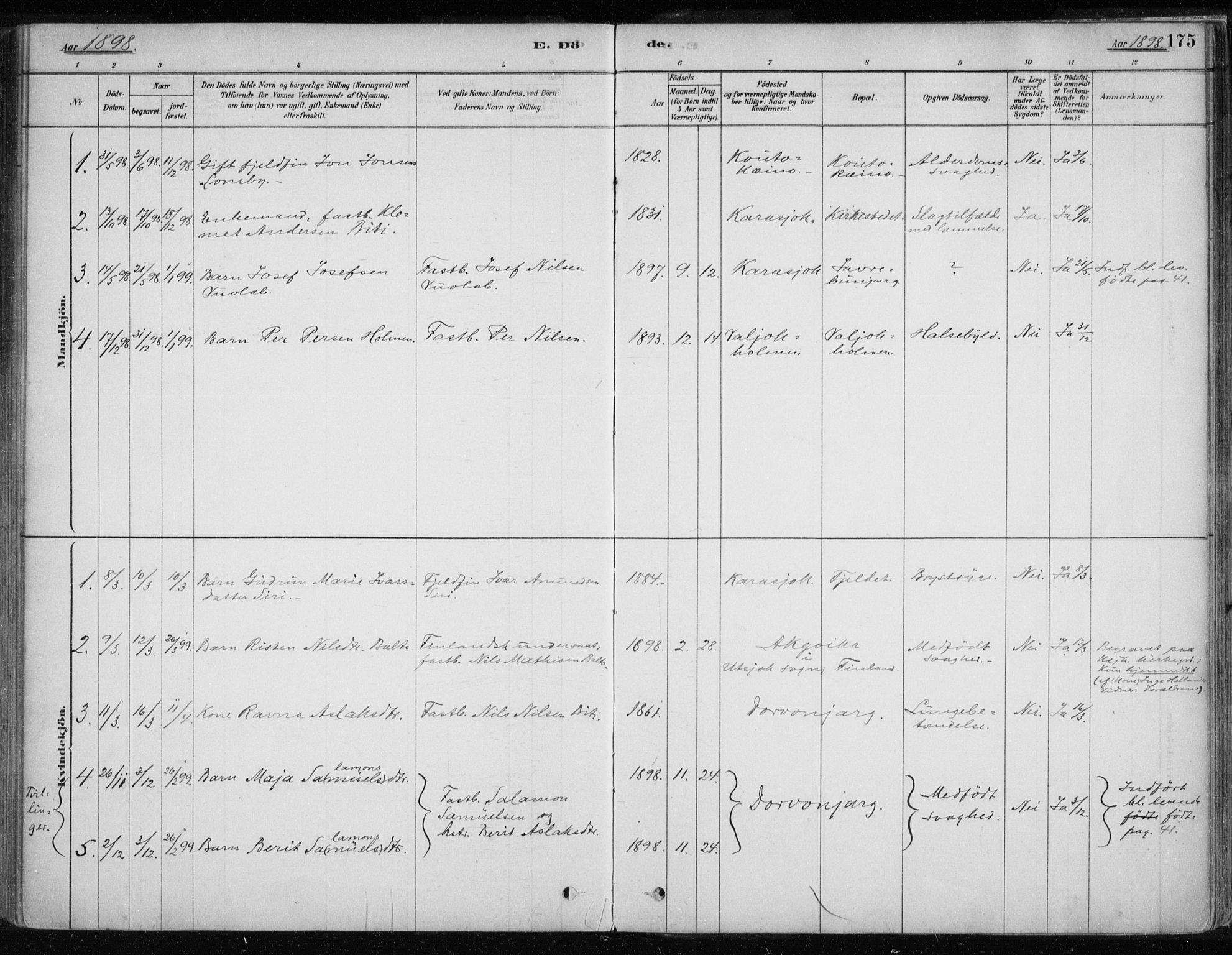 Karasjok sokneprestkontor, AV/SATØ-S-1352/H/Ha/L0002kirke: Parish register (official) no. 2, 1885-1906, p. 175