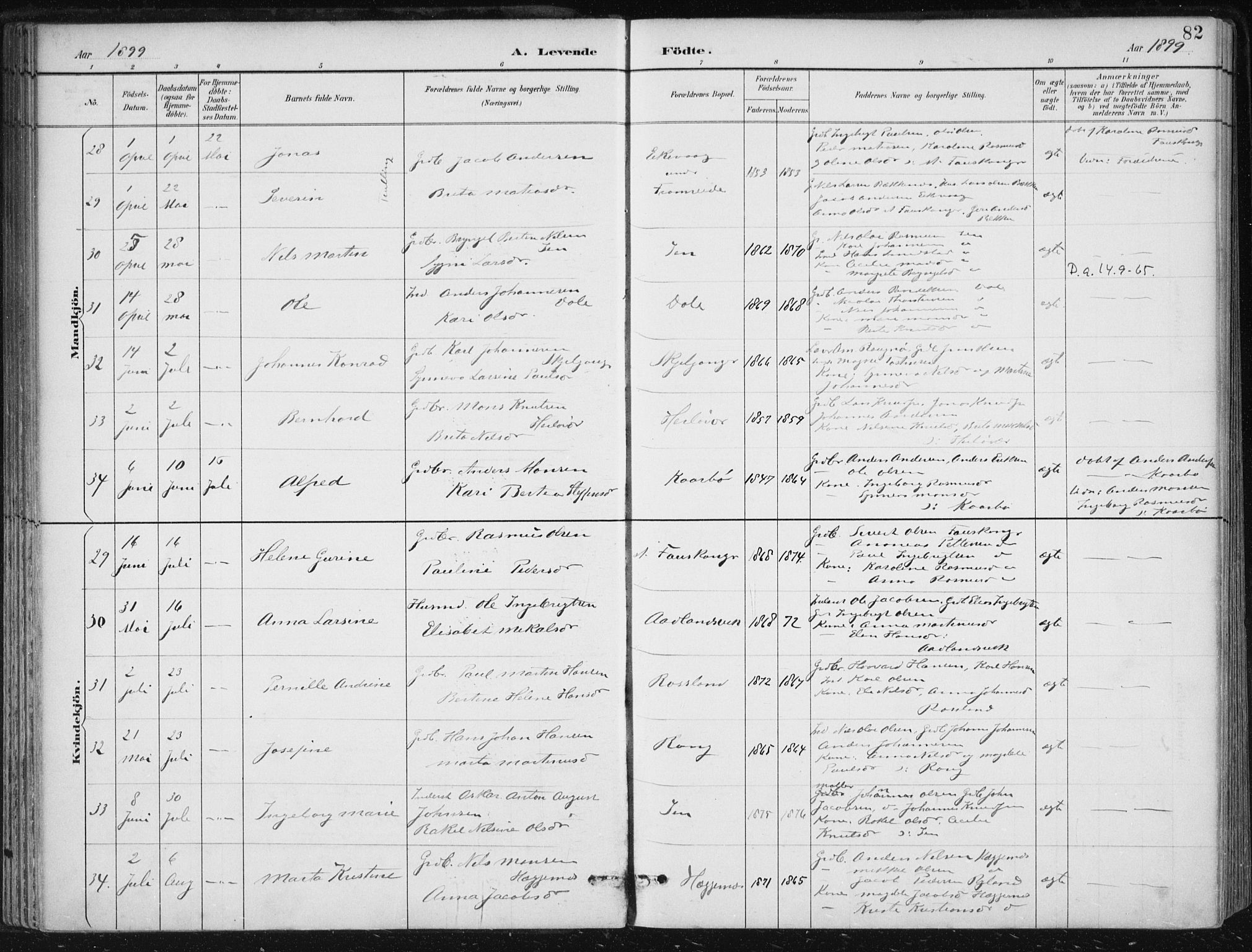 Herdla Sokneprestembete, AV/SAB-A-75701/H/Haa: Parish register (official) no. A 4, 1891-1905, p. 82