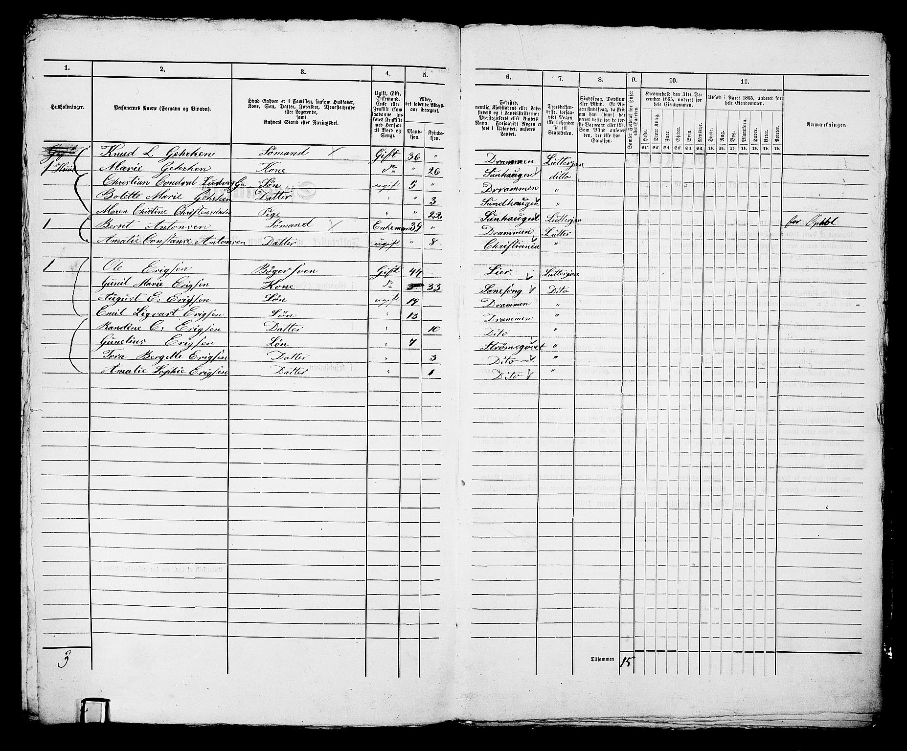 RA, 1865 census for Bragernes in Drammen, 1865, p. 1226