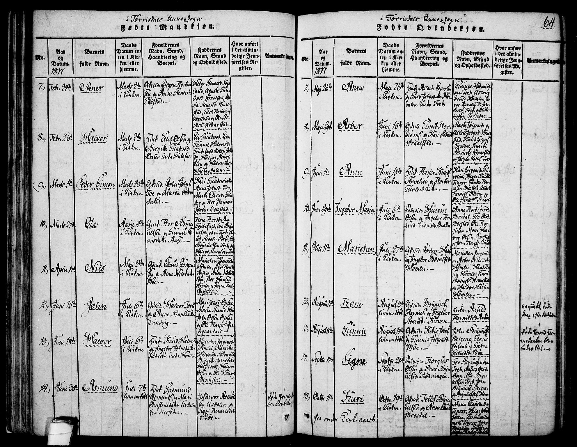 Drangedal kirkebøker, AV/SAKO-A-258/F/Fa/L0005: Parish register (official) no. 5 /2, 1814-1831, p. 64
