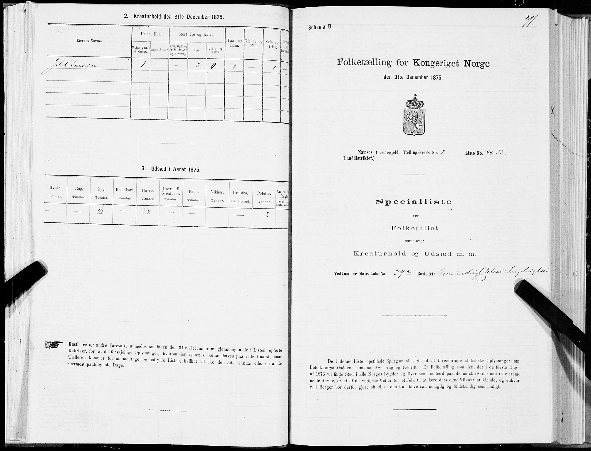 SAT, 1875 census for 1745L Namsos/Vemundvik og Sævik, 1875, p. 2071