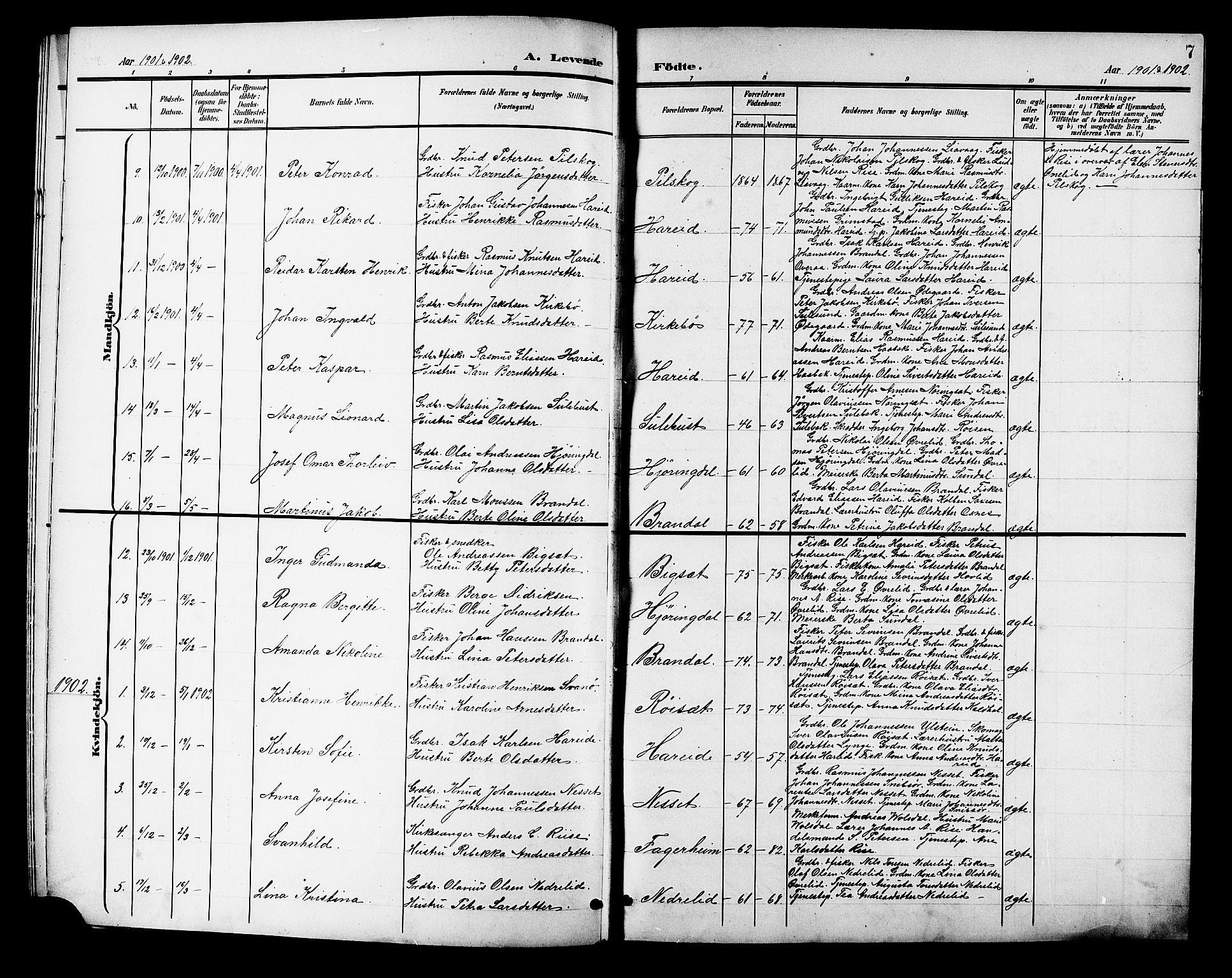 Ministerialprotokoller, klokkerbøker og fødselsregistre - Møre og Romsdal, AV/SAT-A-1454/510/L0126: Parish register (copy) no. 510C03, 1900-1922, p. 7