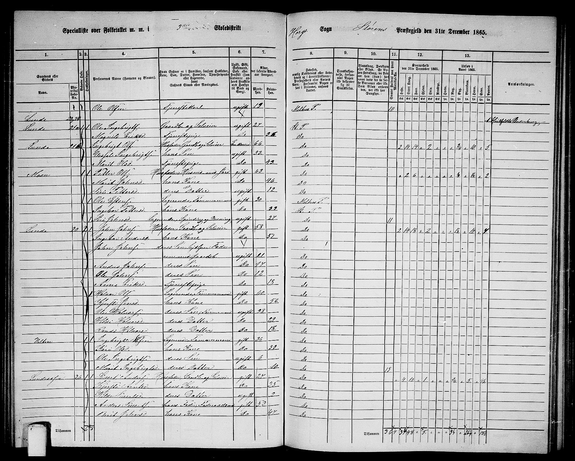 RA, 1865 census for Støren, 1865, p. 153