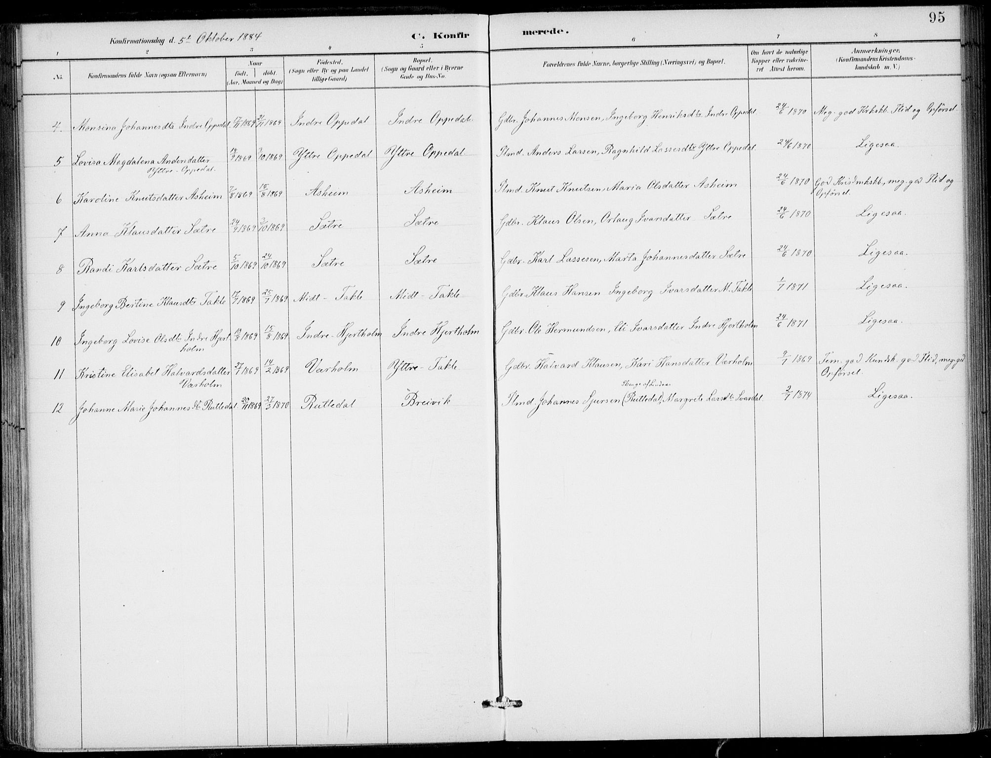 Gulen sokneprestembete, AV/SAB-A-80201/H/Haa/Haac/L0002: Parish register (official) no. C  2, 1882-1914, p. 95