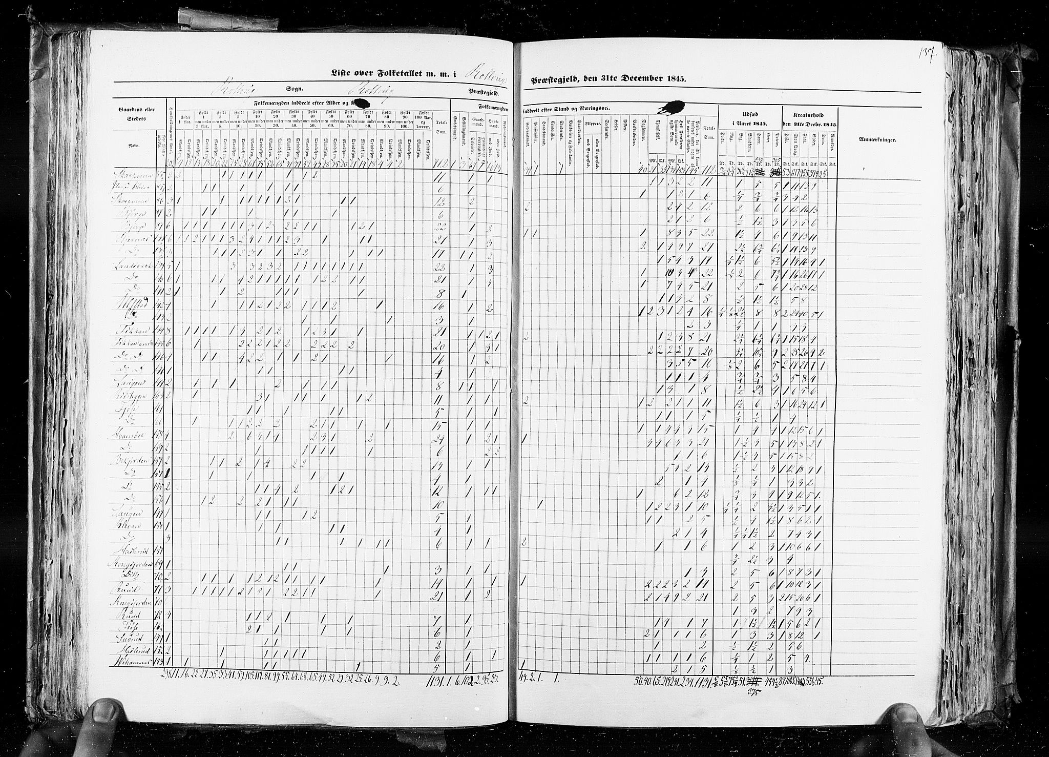 RA, Census 1845, vol. 4: Buskerud amt og Jarlsberg og Larvik amt, 1845, p. 137