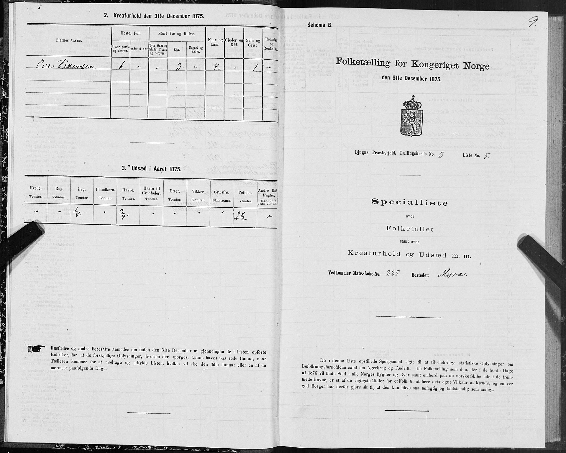 SAT, 1875 census for 1627P Bjugn, 1875, p. 2009