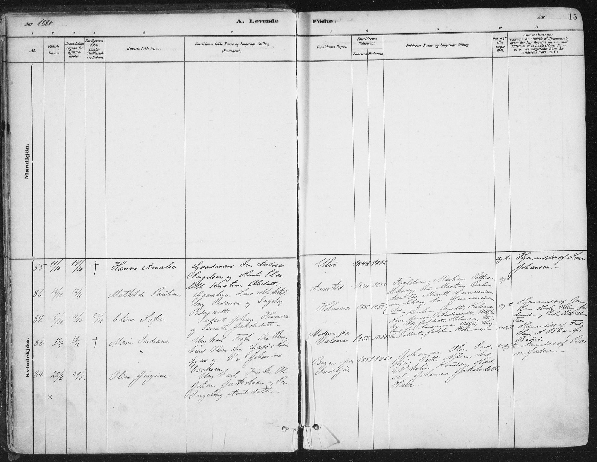 Ministerialprotokoller, klokkerbøker og fødselsregistre - Nordland, AV/SAT-A-1459/888/L1244: Parish register (official) no. 888A10, 1880-1890, p. 15