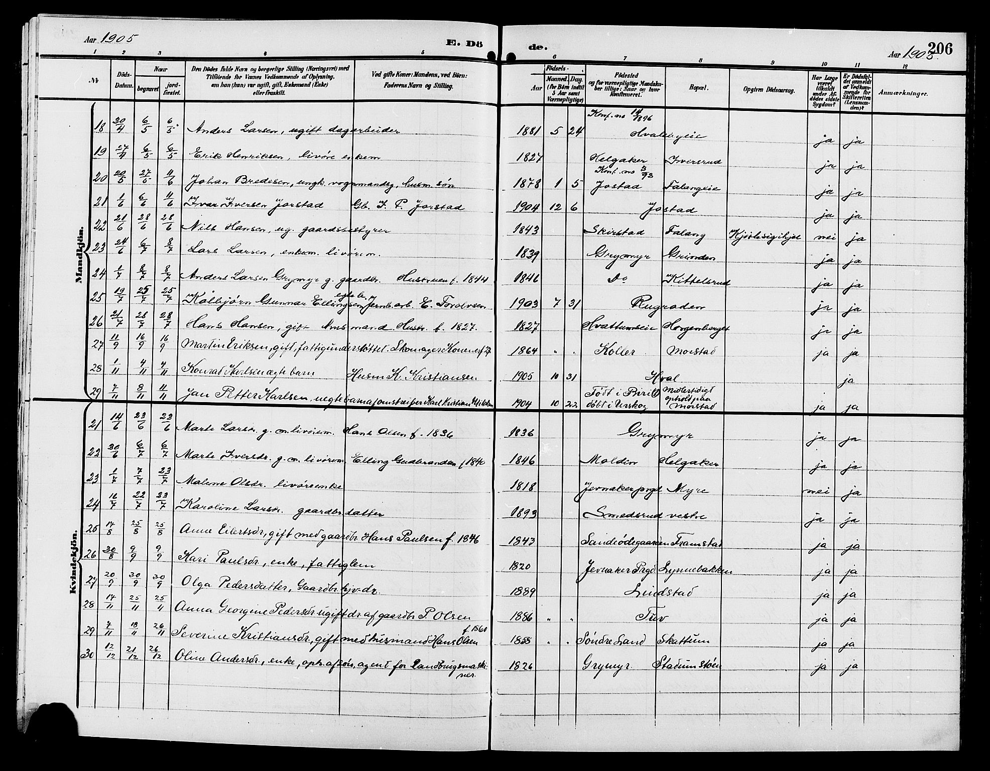 Gran prestekontor, AV/SAH-PREST-112/H/Ha/Hab/L0006: Parish register (copy) no. 6, 1901-1911, p. 206