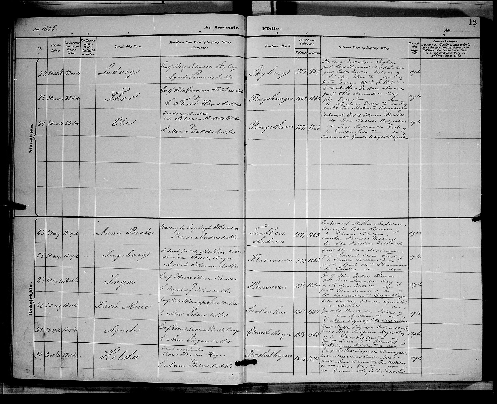 Øyer prestekontor, SAH/PREST-084/H/Ha/Hab/L0004: Parish register (copy) no. 4, 1894-1905, p. 12