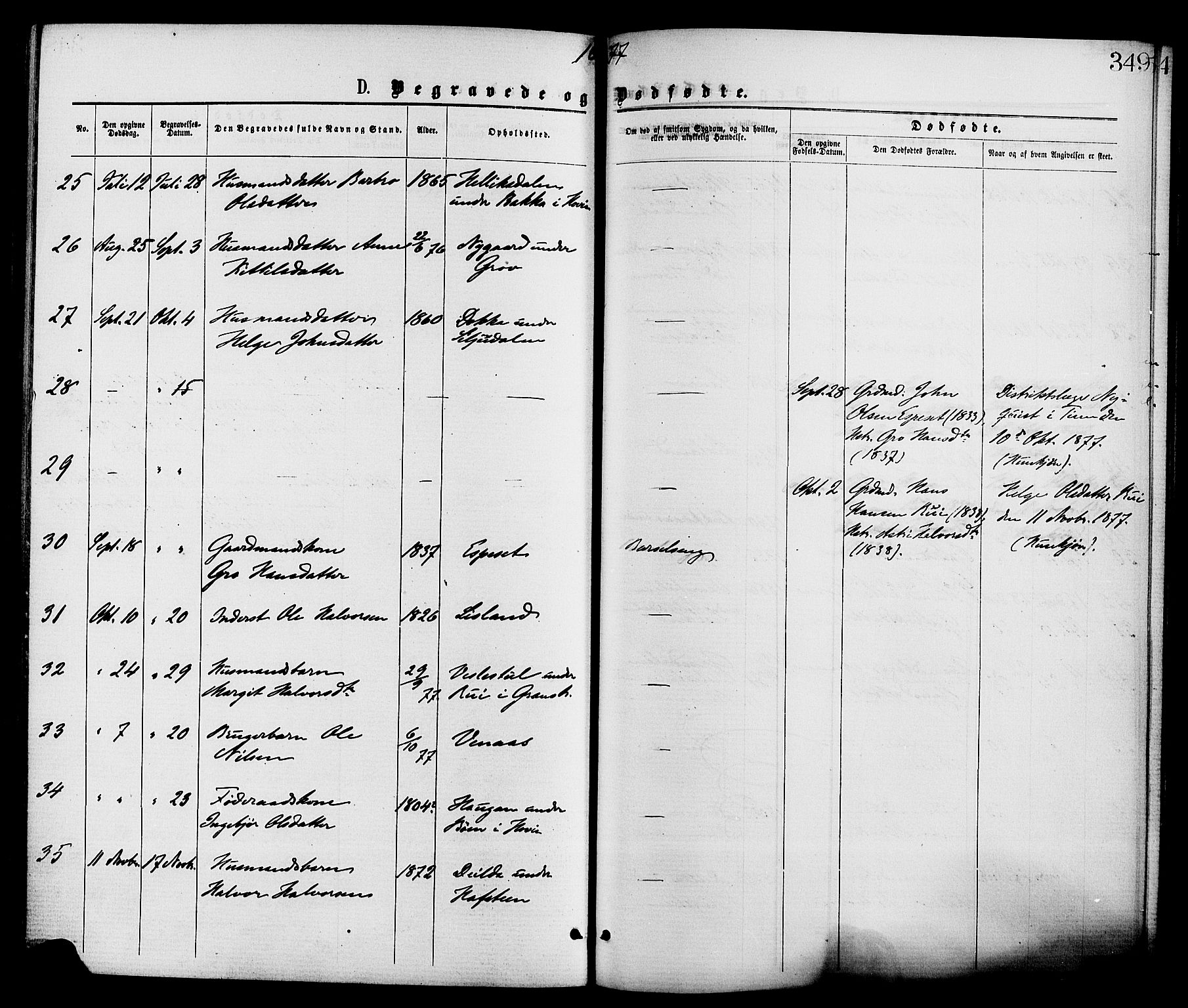 Gransherad kirkebøker, AV/SAKO-A-267/F/Fa/L0004: Parish register (official) no. I 4, 1871-1886, p. 349