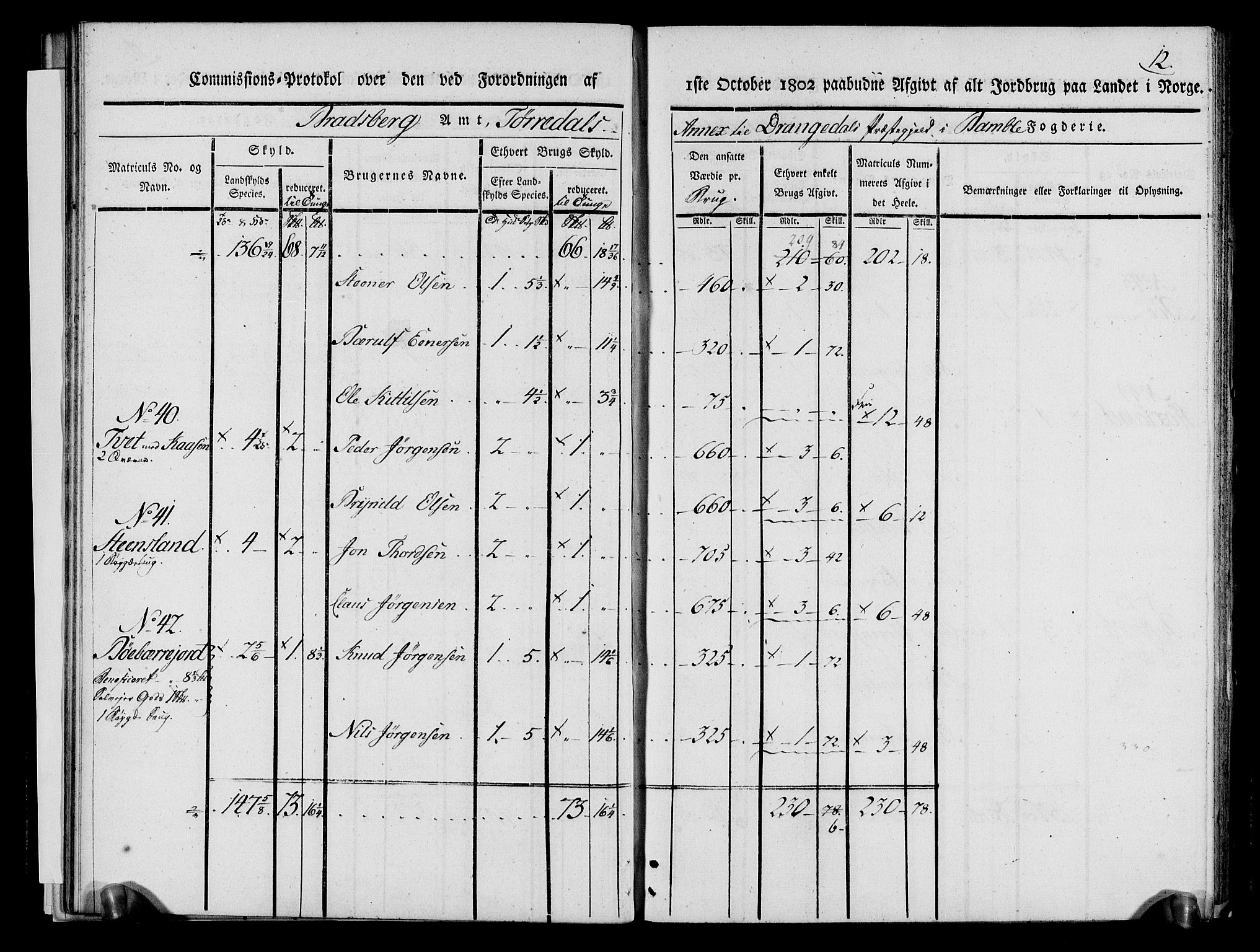 Rentekammeret inntil 1814, Realistisk ordnet avdeling, AV/RA-EA-4070/N/Ne/Nea/L0068: og 0069: Nedre Telemarken og Bamble fogderi. Kommisjonsprotokoll for Drangedal, Sannidal, Bamble og Eidanger prestegjeld., 1803, p. 17