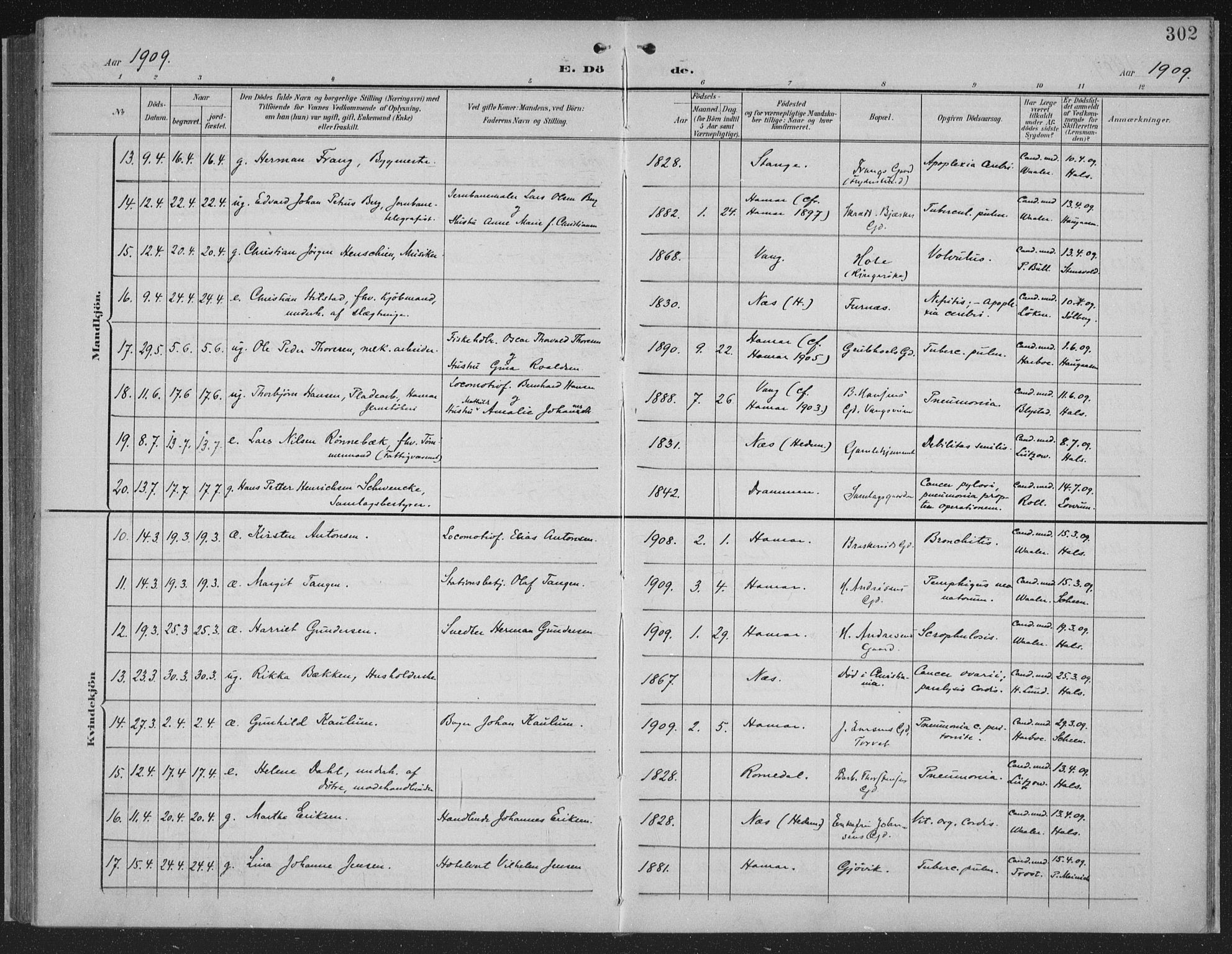 Hamar prestekontor, AV/SAH-DOMPH-002/H/Ha/Haa/L0001: Parish register (official) no. 1, 1900-1914, p. 302