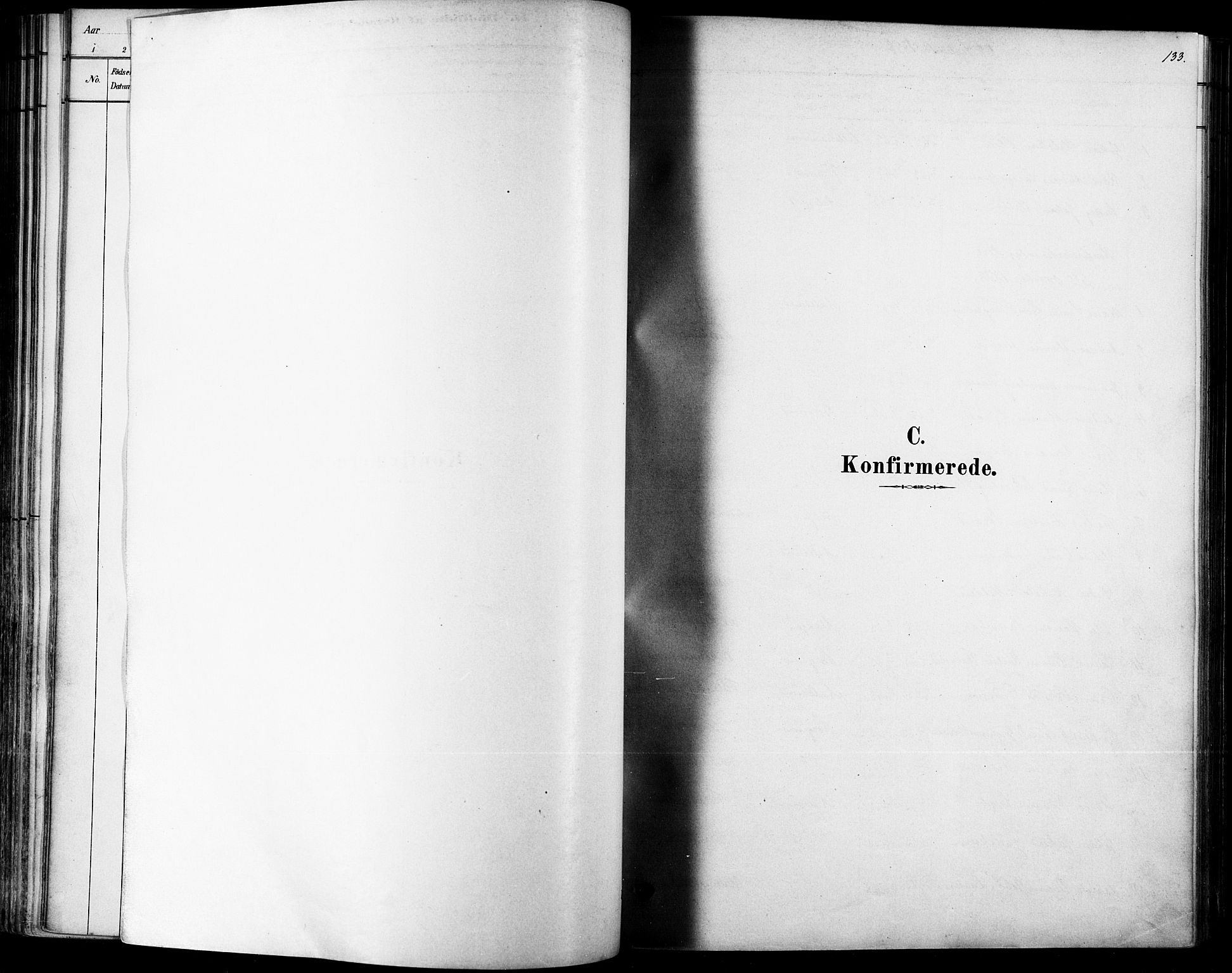 Ministerialprotokoller, klokkerbøker og fødselsregistre - Møre og Romsdal, AV/SAT-A-1454/529/L0454: Parish register (official) no. 529A04, 1878-1885, p. 133