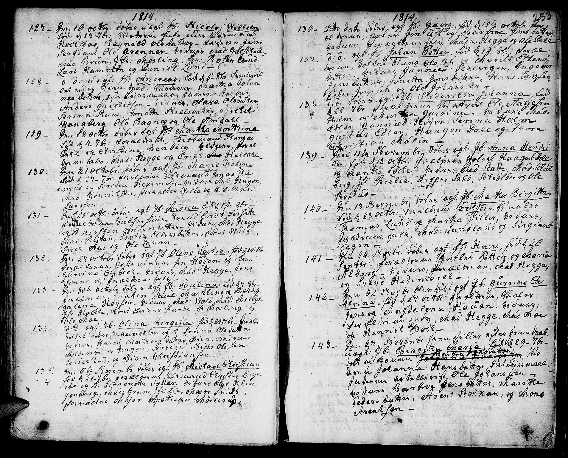 Ministerialprotokoller, klokkerbøker og fødselsregistre - Sør-Trøndelag, AV/SAT-A-1456/601/L0039: Parish register (official) no. 601A07, 1770-1819, p. 233
