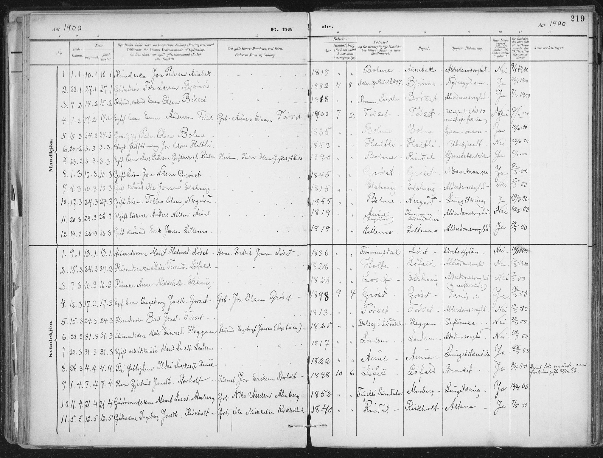 Ministerialprotokoller, klokkerbøker og fødselsregistre - Møre og Romsdal, SAT/A-1454/598/L1072: Parish register (official) no. 598A06, 1896-1910, p. 219