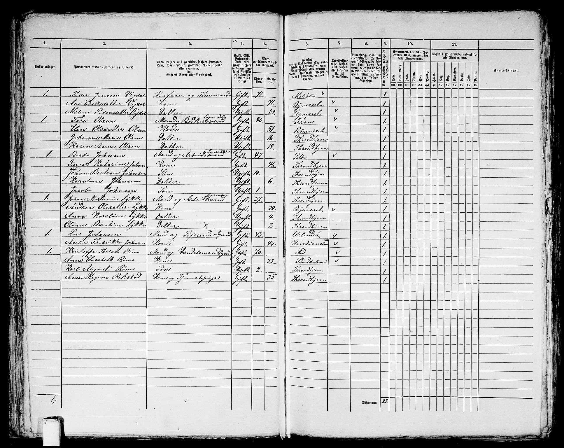 RA, 1865 census for Trondheim, 1865, p. 1139