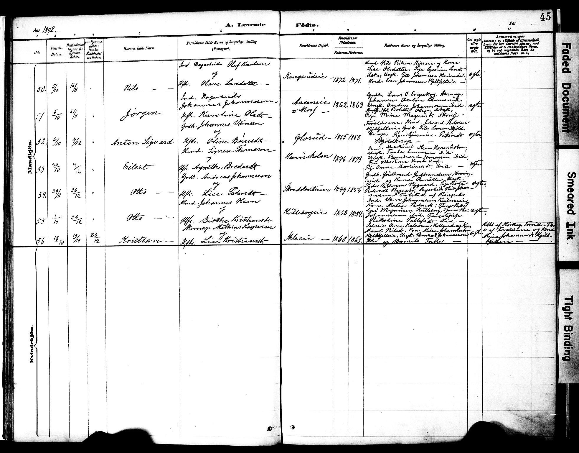 Nes prestekontor, Hedmark, AV/SAH-PREST-020/K/Ka/L0009: Parish register (official) no. 9, 1887-1905, p. 45