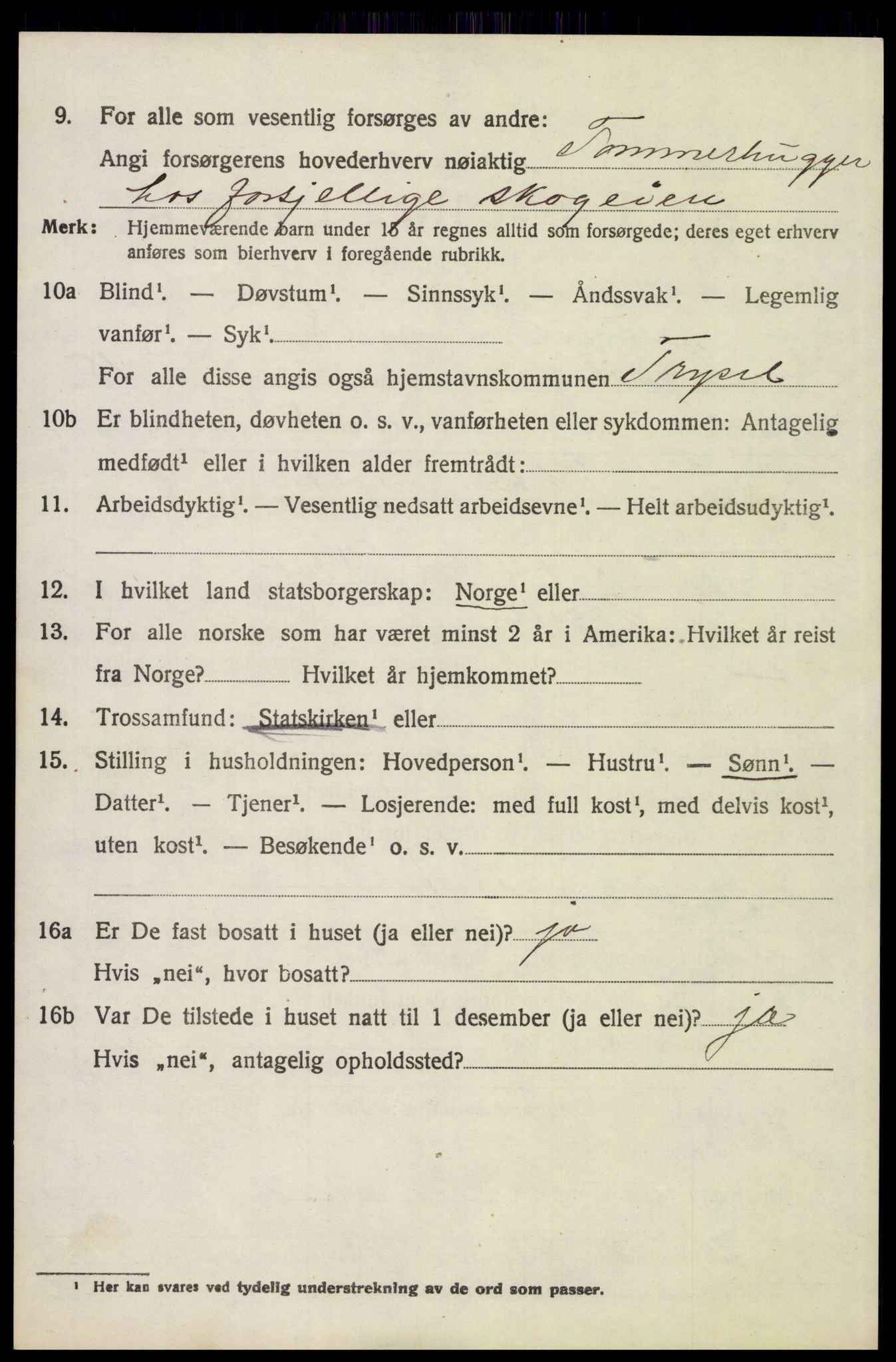 SAH, 1920 census for Trysil, 1920, p. 8812