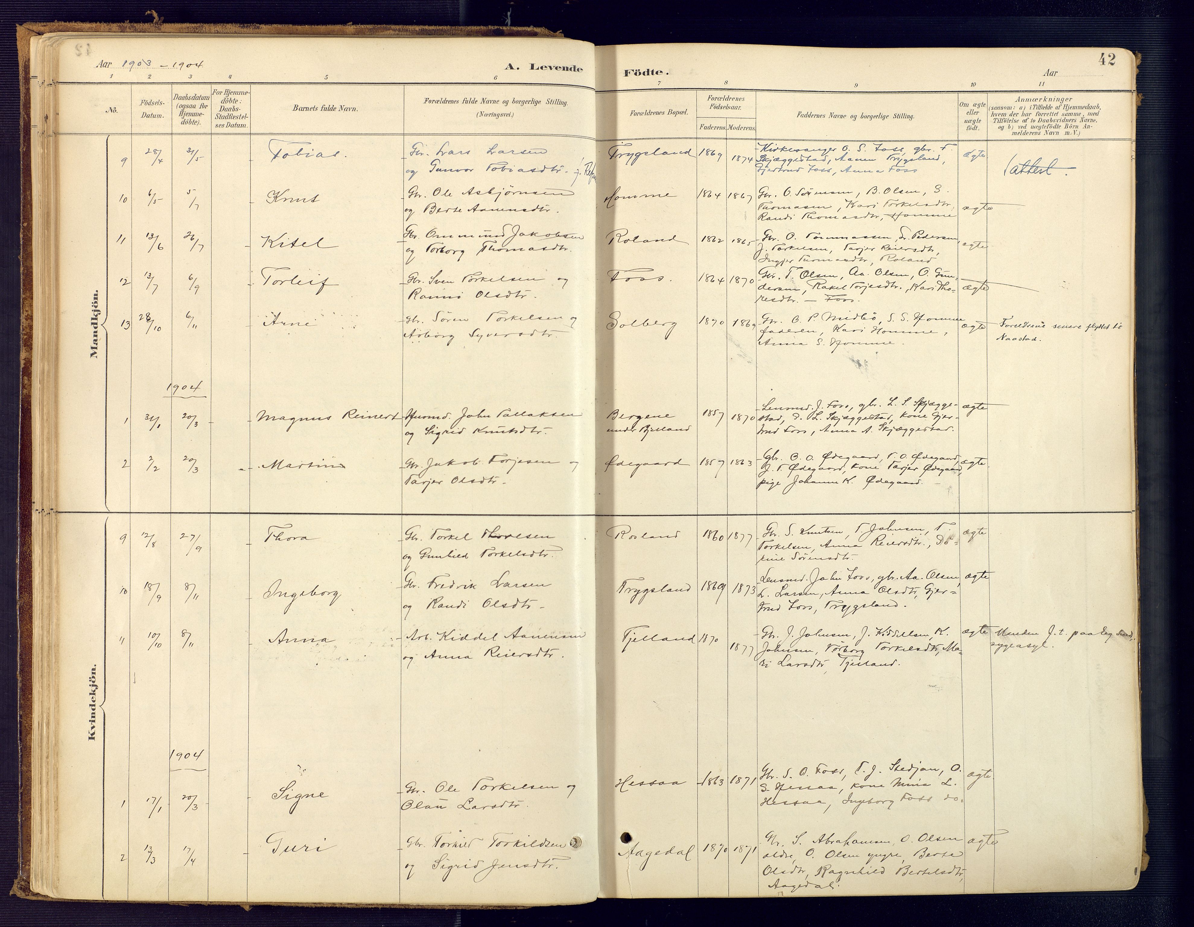 Bjelland sokneprestkontor, SAK/1111-0005/F/Fa/Faa/L0004: Parish register (official) no. A 4, 1887-1923, p. 42