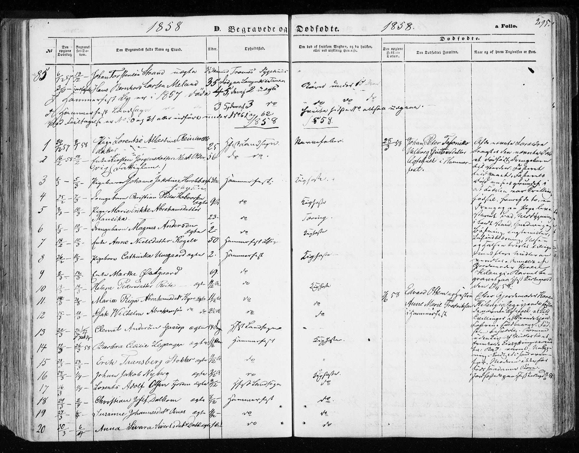 Hammerfest sokneprestkontor, SATØ/S-1347/H/Ha/L0005.kirke: Parish register (official) no. 5, 1857-1869, p. 295
