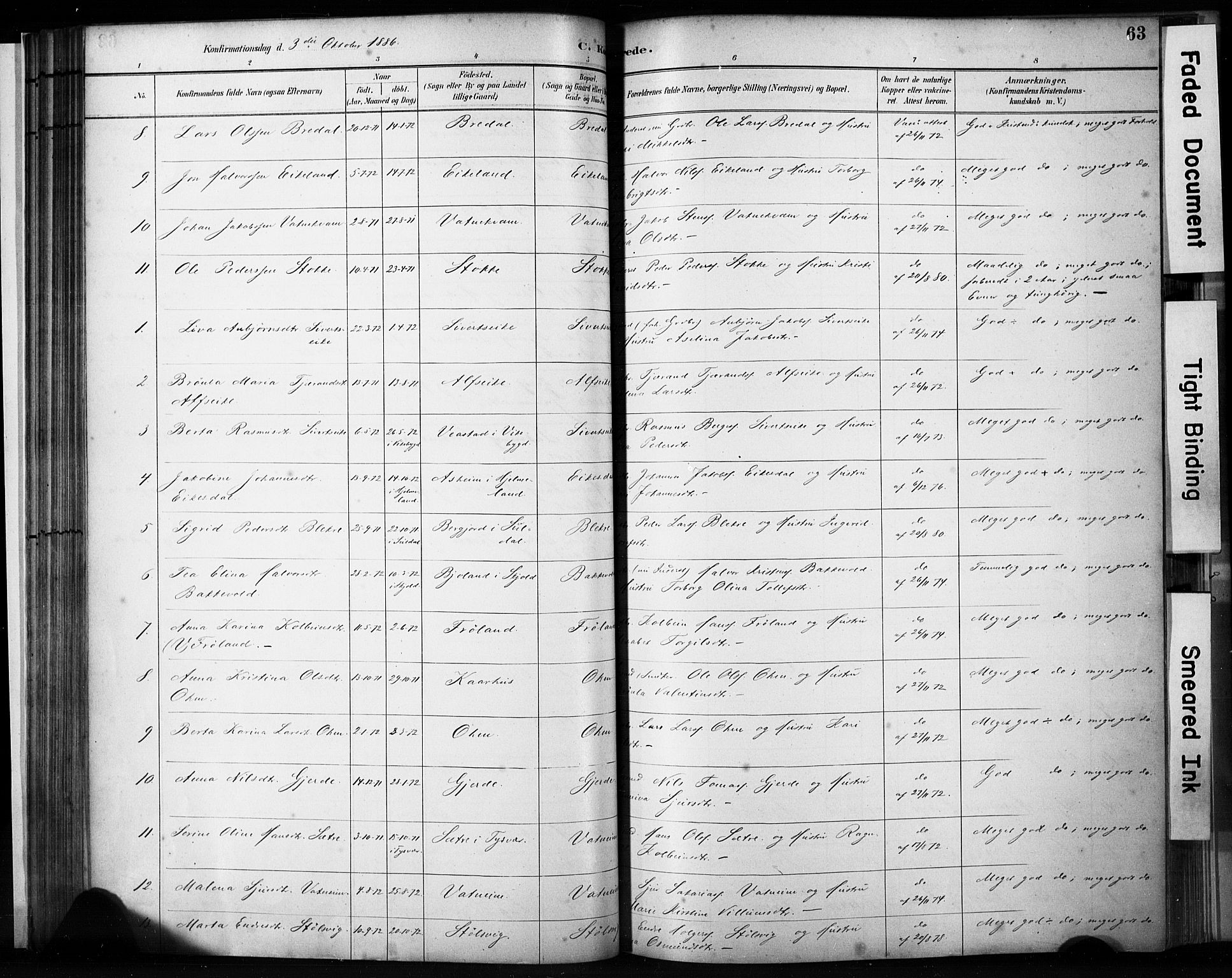 Skjold sokneprestkontor, AV/SAST-A-101847/H/Ha/Haa/L0009: Parish register (official) no. A 9, 1882-1898, p. 63