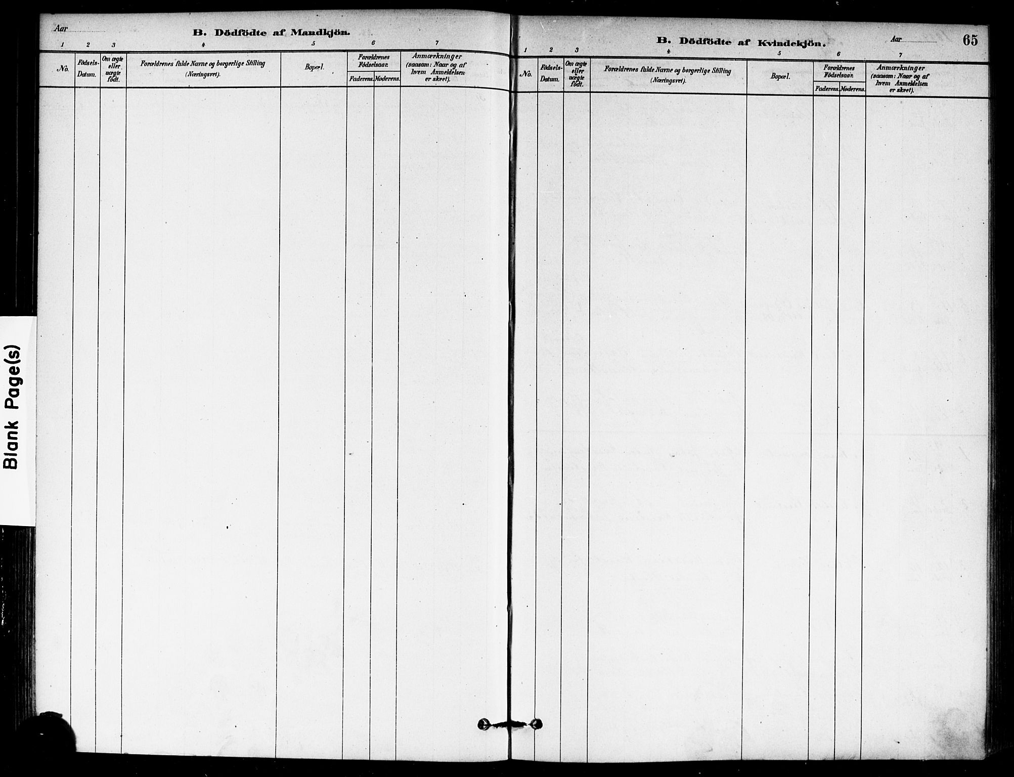 Eidsberg prestekontor Kirkebøker, SAO/A-10905/F/Fb/L0001: Parish register (official) no. II 1, 1879-1900, p. 65