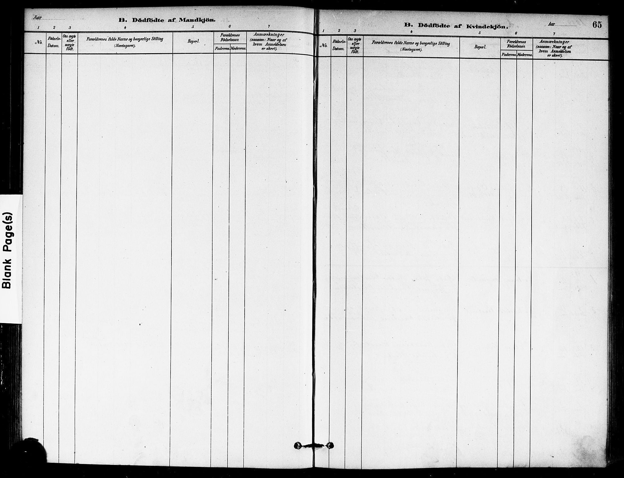 Eidsberg prestekontor Kirkebøker, AV/SAO-A-10905/F/Fb/L0001: Parish register (official) no. II 1, 1879-1900, p. 65