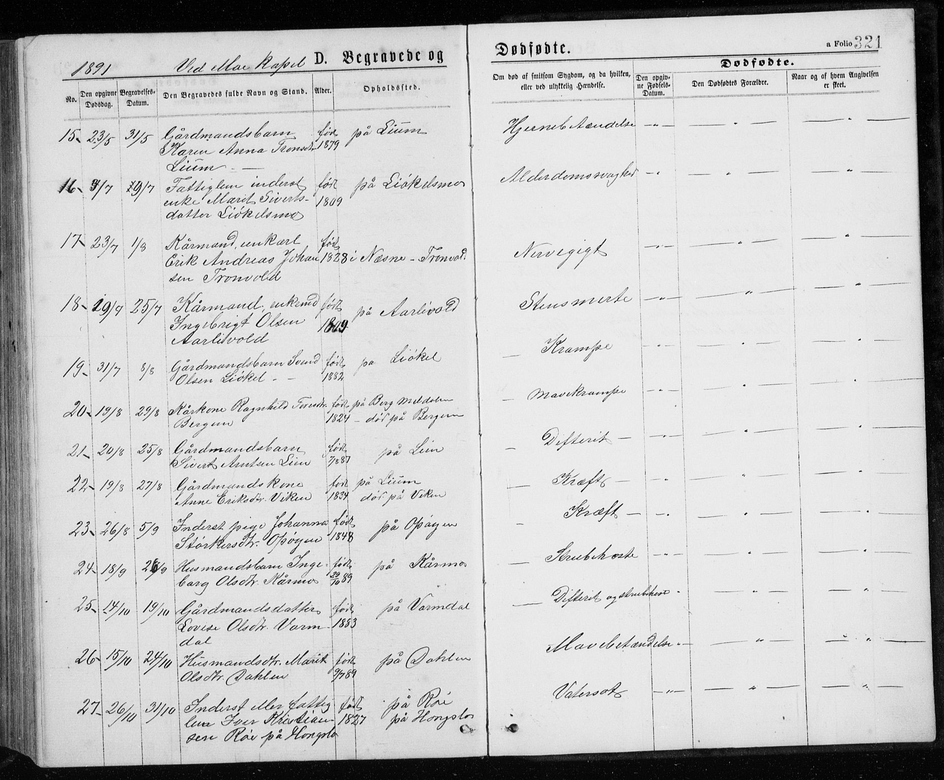 Ministerialprotokoller, klokkerbøker og fødselsregistre - Sør-Trøndelag, SAT/A-1456/671/L0843: Parish register (copy) no. 671C02, 1873-1892, p. 321
