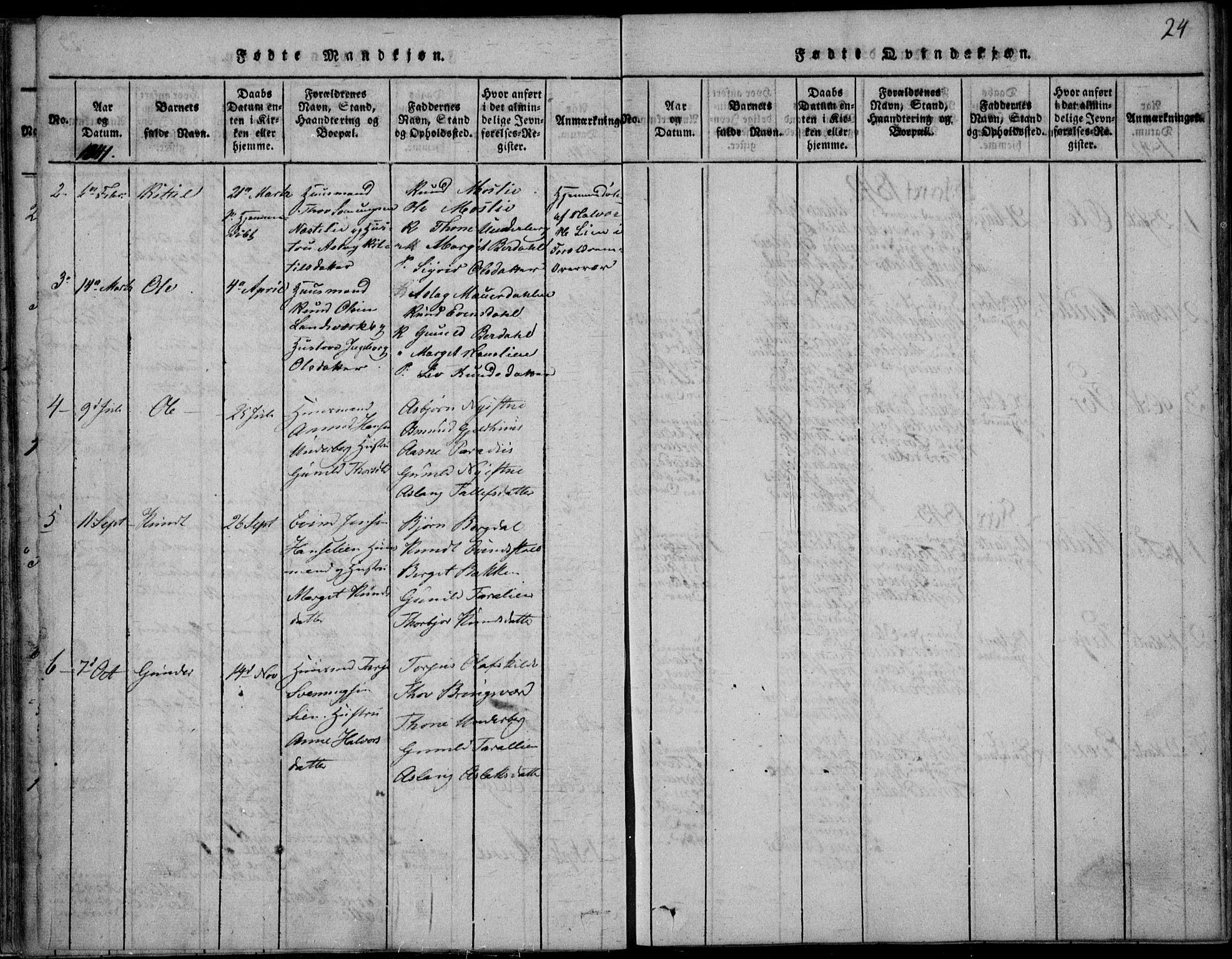 Vinje kirkebøker, SAKO/A-312/F/Fb/L0001: Parish register (official) no. II 1, 1814-1843, p. 24