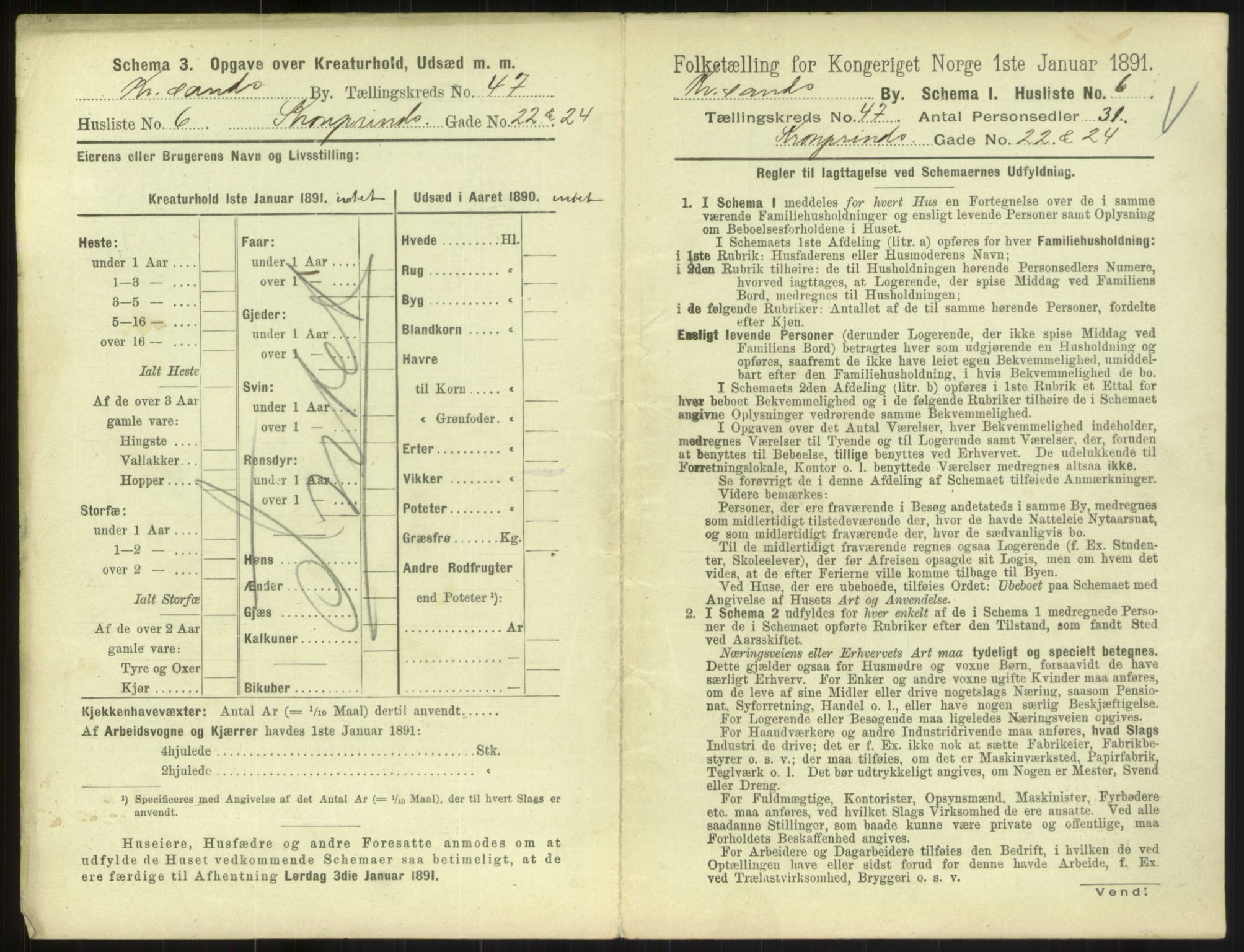 RA, 1891 census for 1001 Kristiansand, 1891, p. 2612