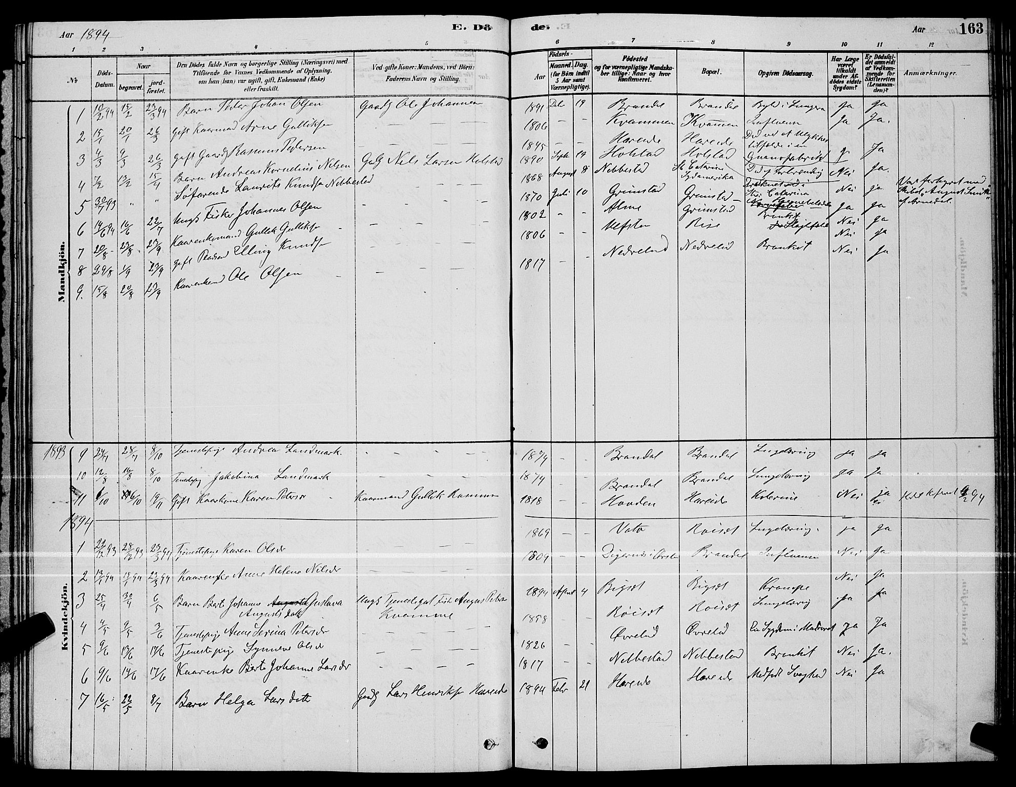 Ministerialprotokoller, klokkerbøker og fødselsregistre - Møre og Romsdal, AV/SAT-A-1454/510/L0125: Parish register (copy) no. 510C02, 1878-1900, p. 163