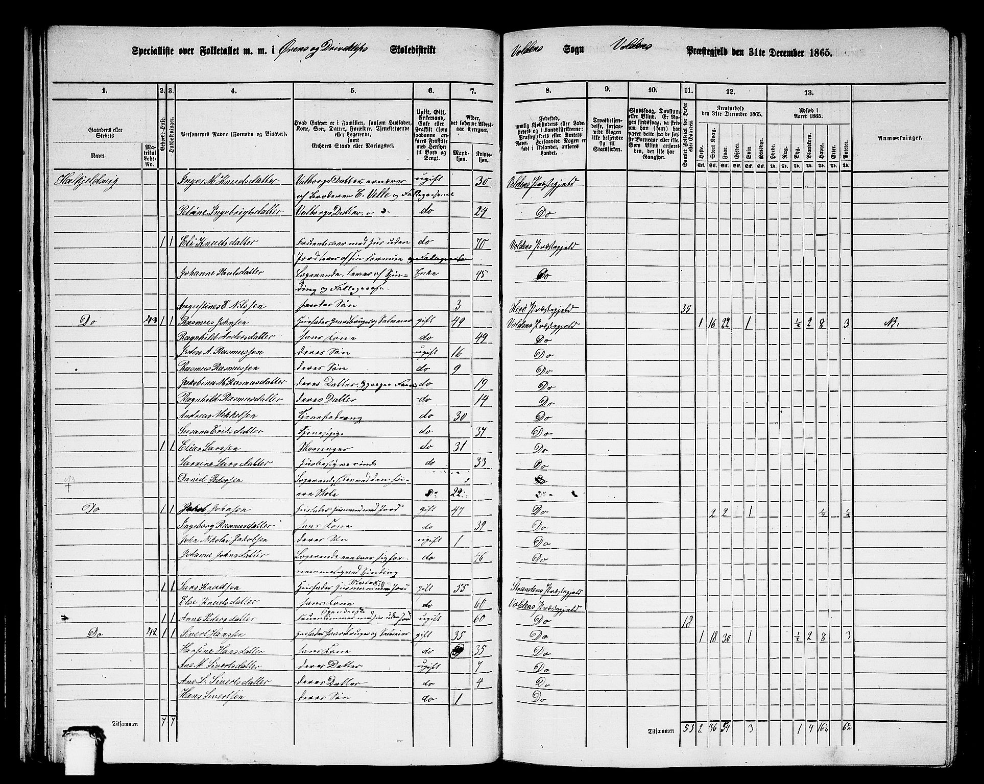 RA, 1865 census for Volda, 1865, p. 31