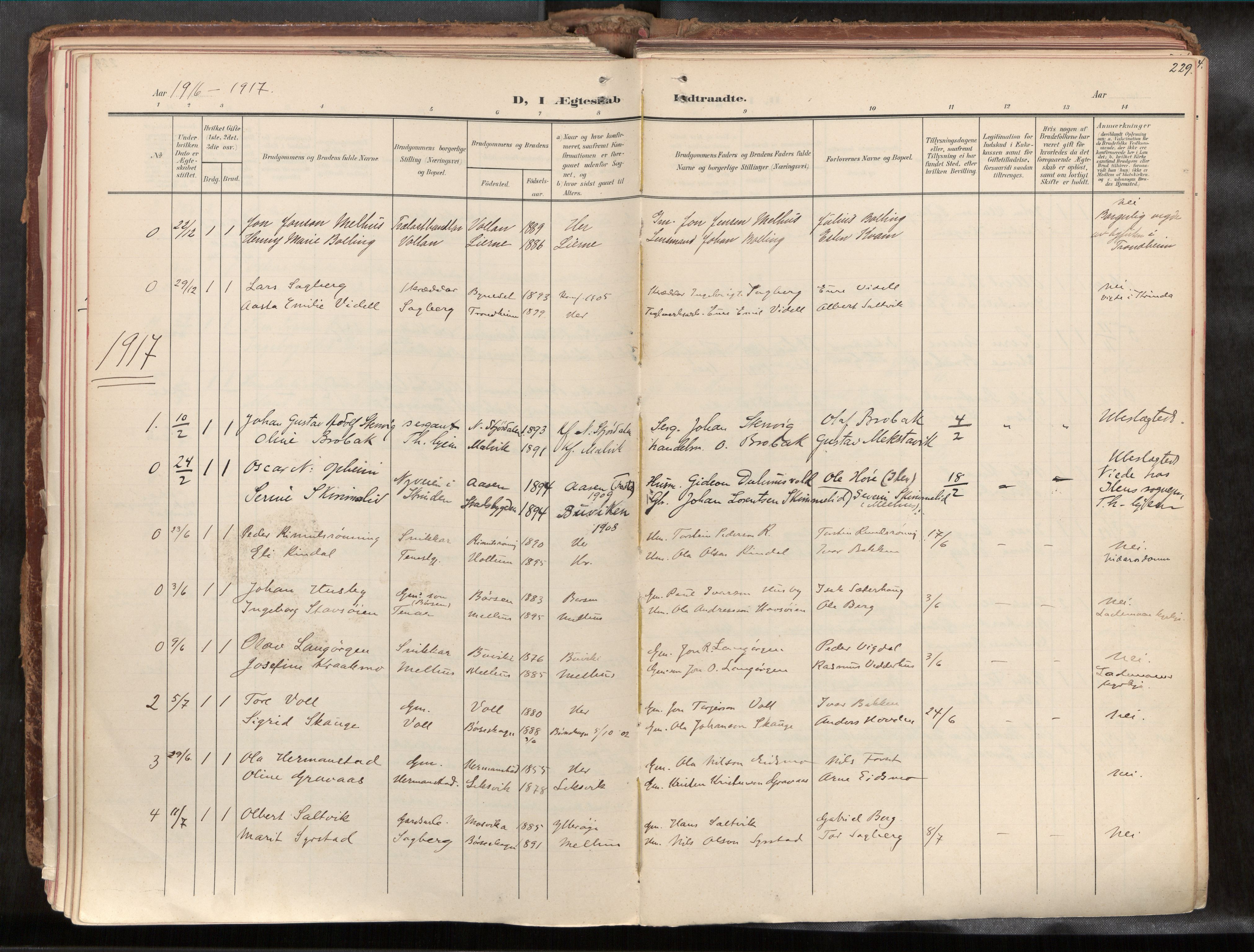 Ministerialprotokoller, klokkerbøker og fødselsregistre - Sør-Trøndelag, SAT/A-1456/691/L1085b: Parish register (official) no. 691A18, 1908-1930, p. 229