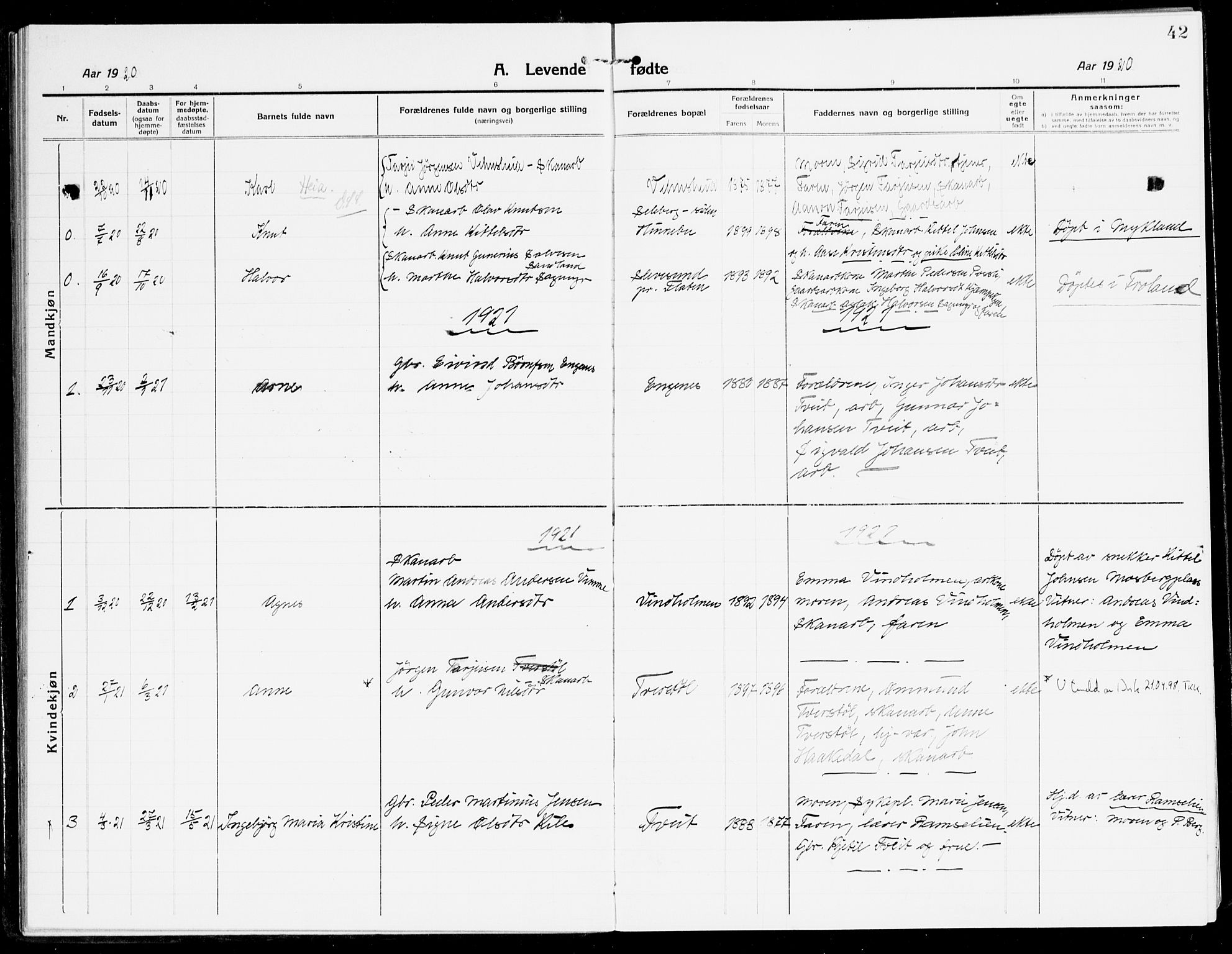 Åmli sokneprestkontor, AV/SAK-1111-0050/F/Fa/Fac/L0013: Parish register (official) no. A 13, 1914-1933, p. 42