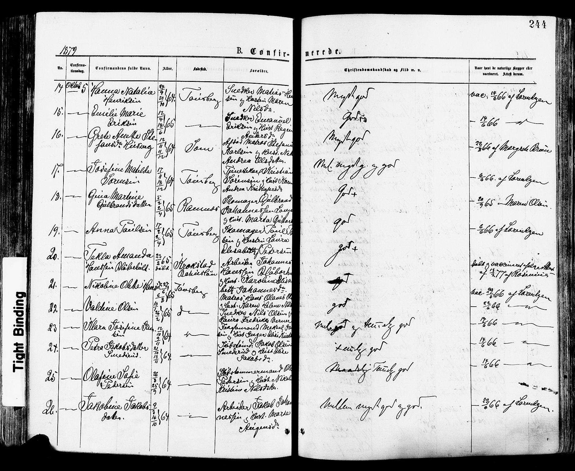 Tønsberg kirkebøker, AV/SAKO-A-330/F/Fa/L0010: Parish register (official) no. I 10, 1874-1880, p. 244