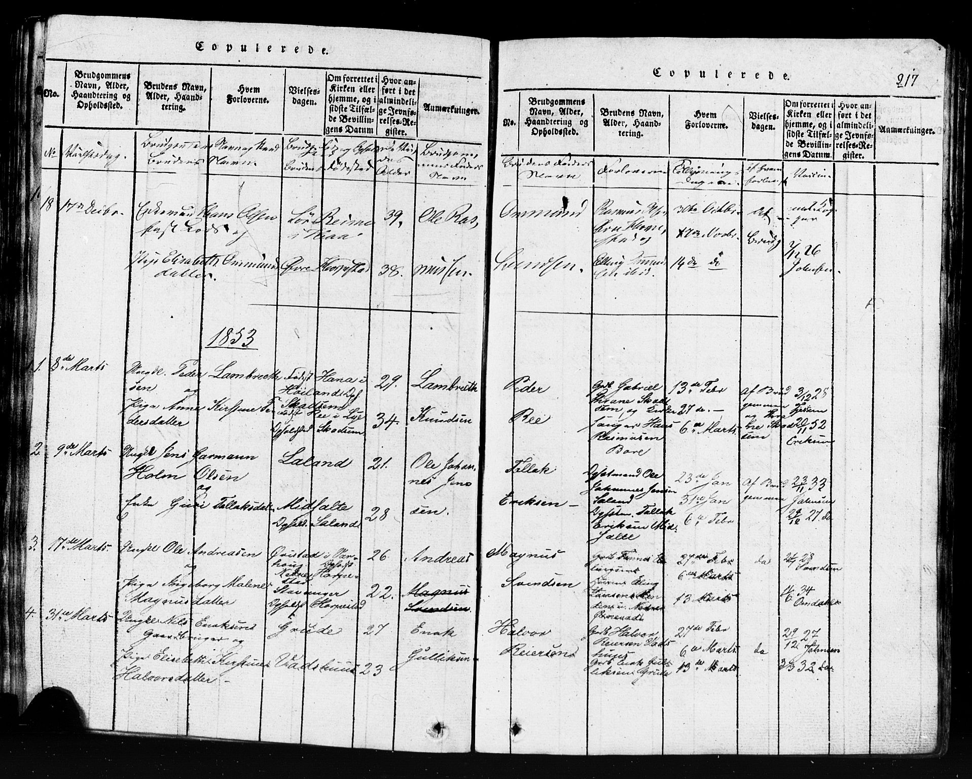 Klepp sokneprestkontor, SAST/A-101803/001/3/30BB/L0001: Parish register (copy) no.  B 1, 1816-1859, p. 217