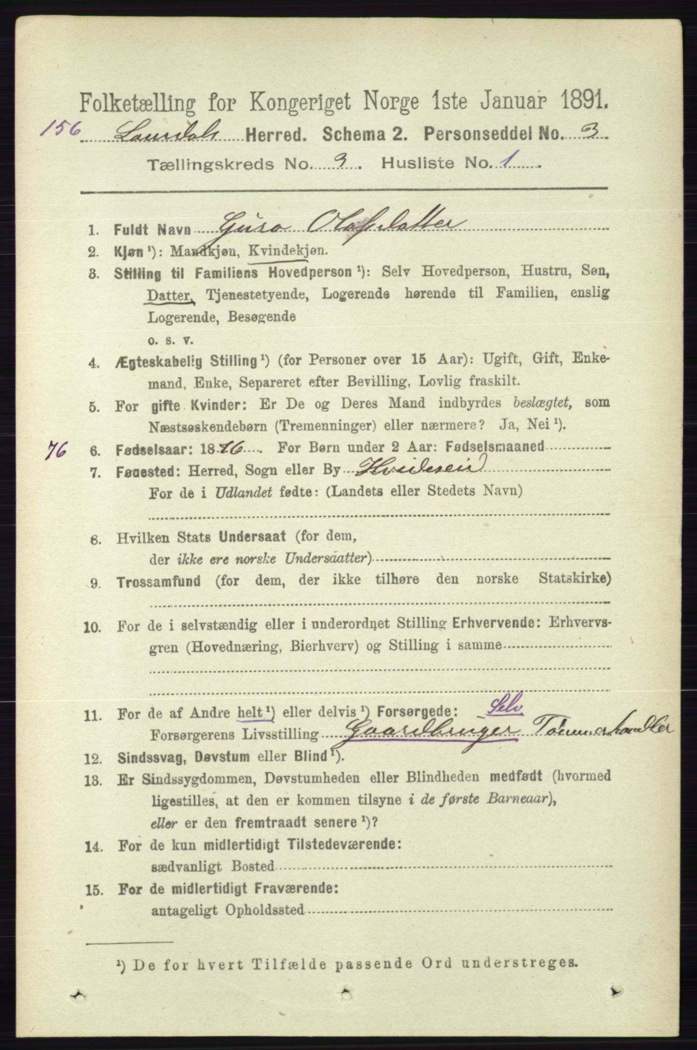 RA, 1891 census for 0833 Lårdal, 1891, p. 800