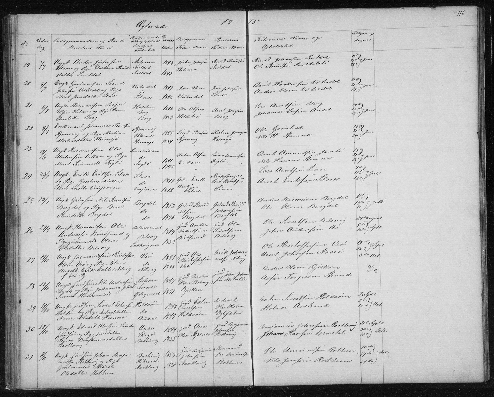 Ministerialprotokoller, klokkerbøker og fødselsregistre - Sør-Trøndelag, SAT/A-1456/630/L0503: Parish register (copy) no. 630C01, 1869-1878, p. 116