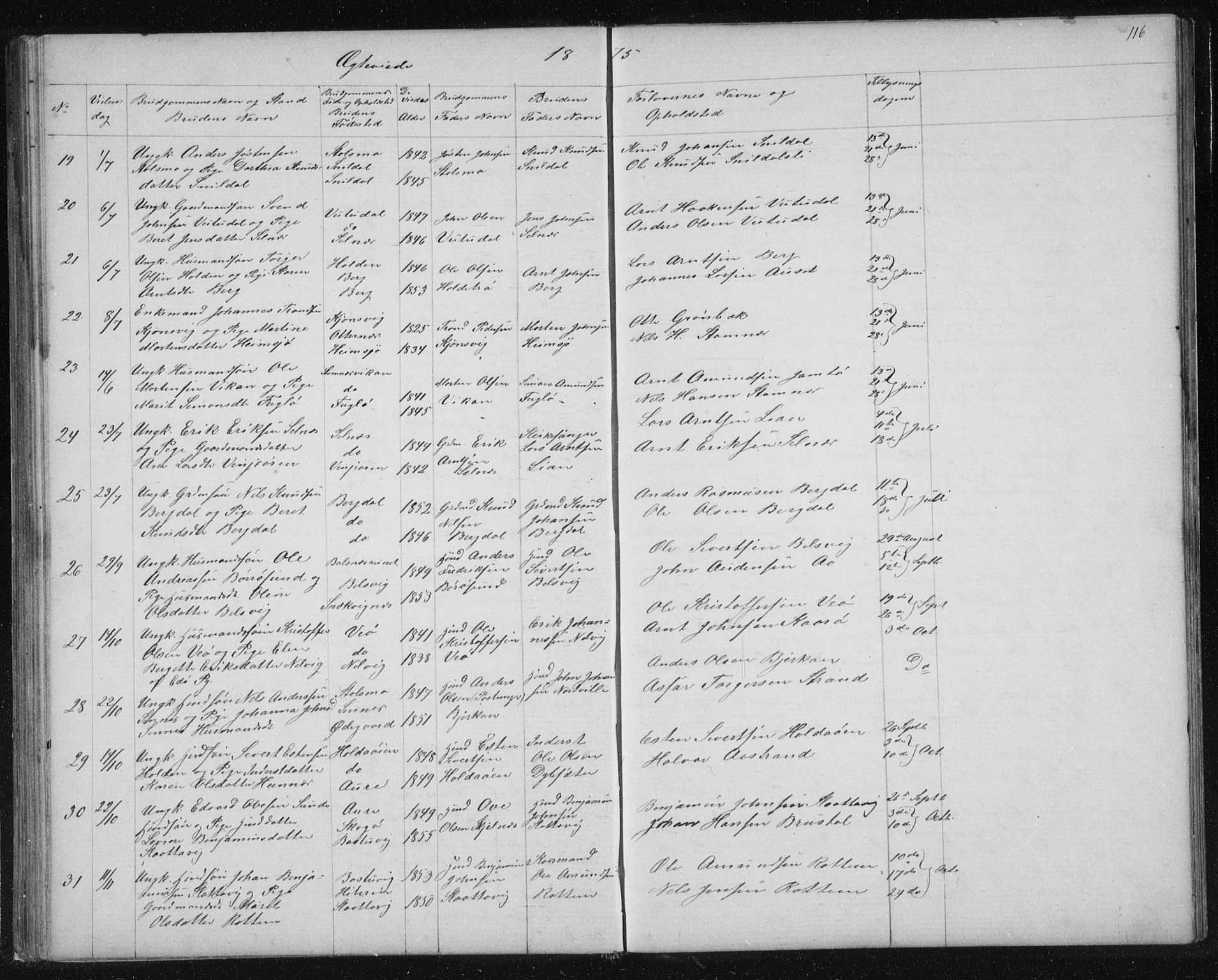 Ministerialprotokoller, klokkerbøker og fødselsregistre - Sør-Trøndelag, AV/SAT-A-1456/630/L0503: Parish register (copy) no. 630C01, 1869-1878, p. 116