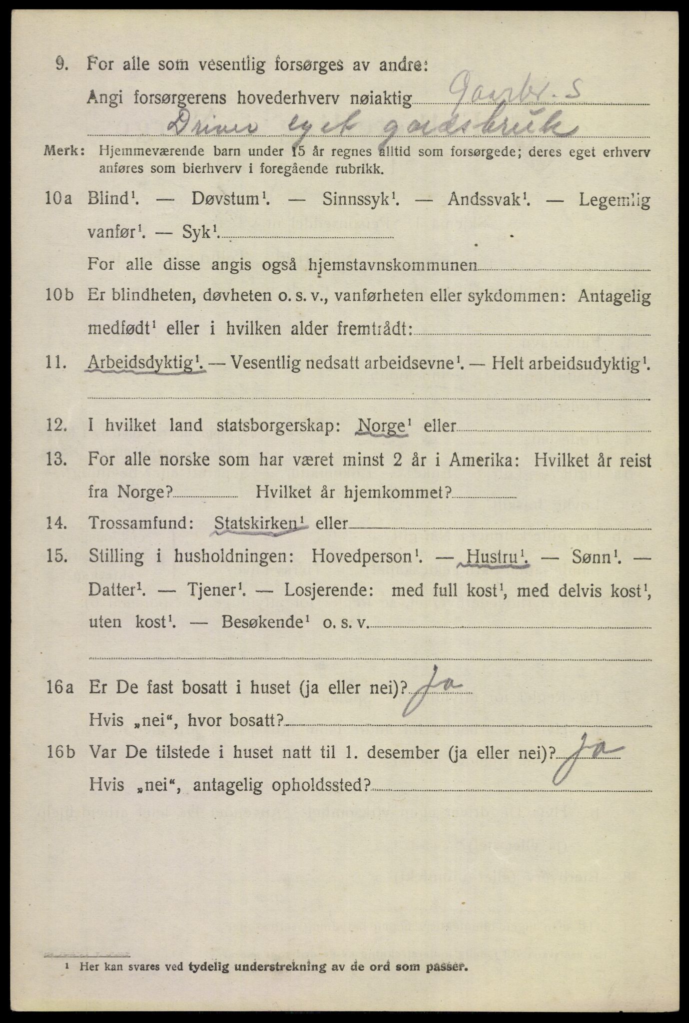 SAKO, 1920 census for Hol (Buskerud), 1920, p. 850