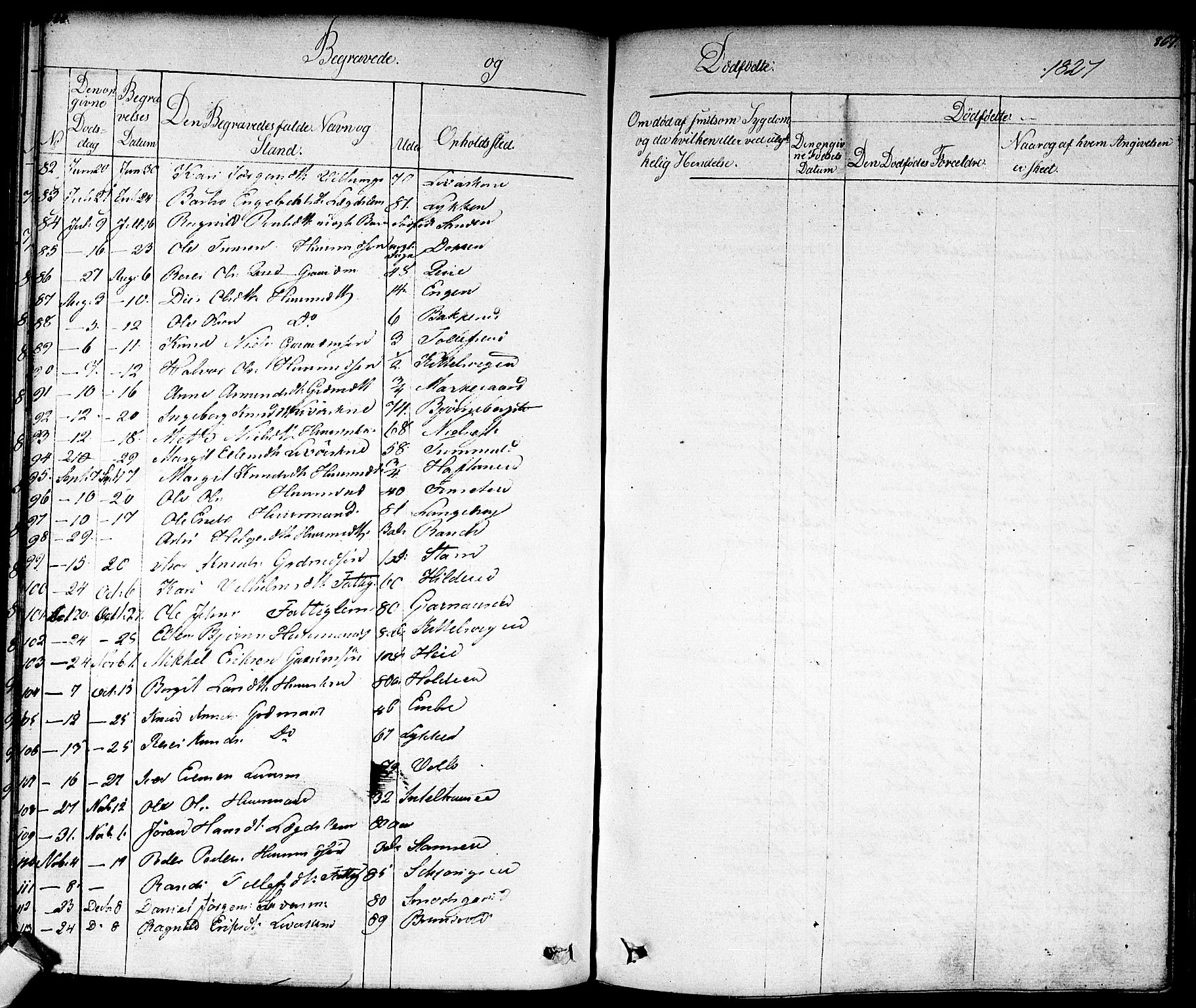Nes kirkebøker, SAKO/A-236/F/Fa/L0008: Parish register (official) no. 8, 1824-1834, p. 866-867