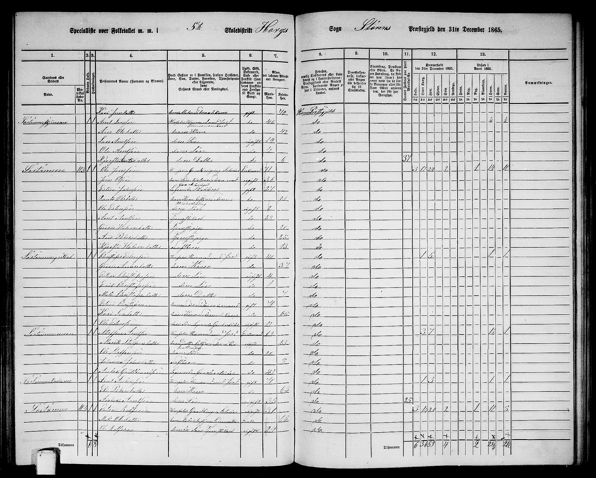 RA, 1865 census for Støren, 1865, p. 187