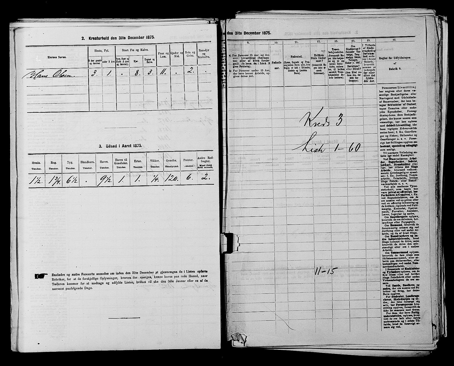 RA, 1875 census for 0113P Borge, 1875, p. 383