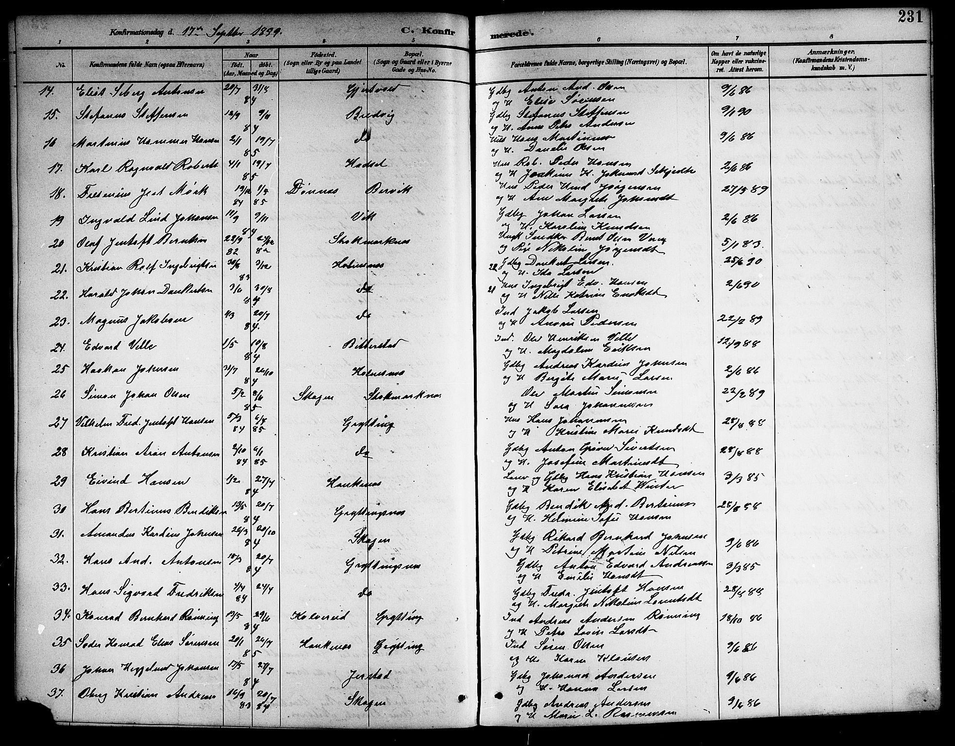 Ministerialprotokoller, klokkerbøker og fødselsregistre - Nordland, AV/SAT-A-1459/888/L1268: Parish register (copy) no. 888C06, 1891-1908, p. 231