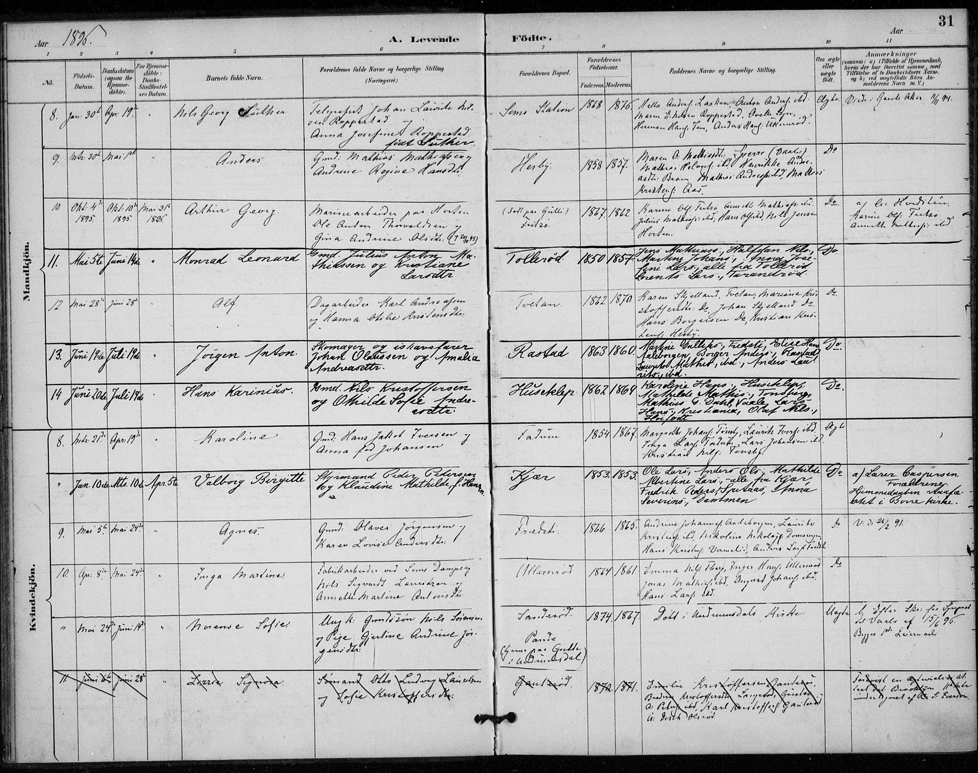 Sem kirkebøker, AV/SAKO-A-5/F/Fa/L0011: Parish register (official) no. I 11, 1888-1904, p. 31