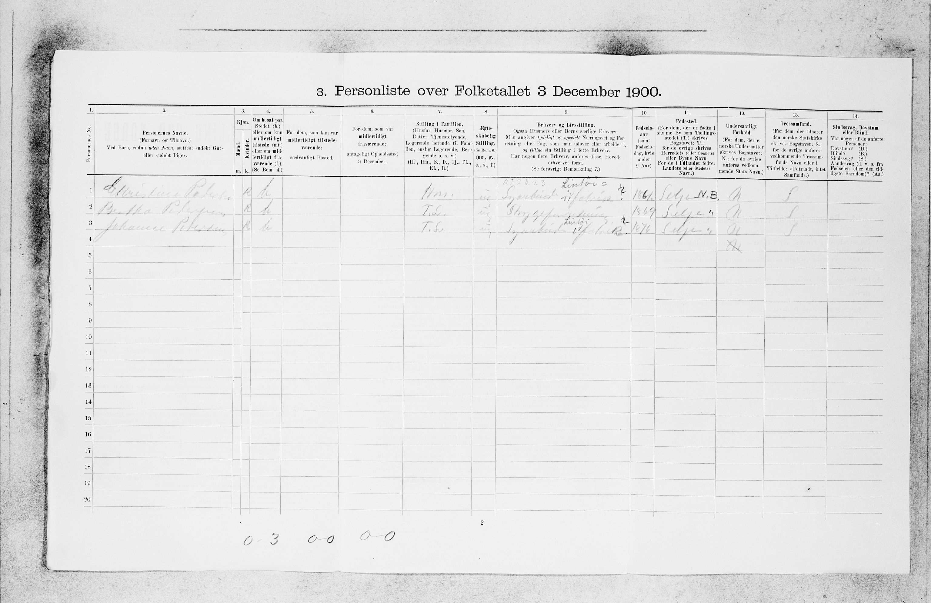 SAB, 1900 census for Bergen, 1900, p. 30102