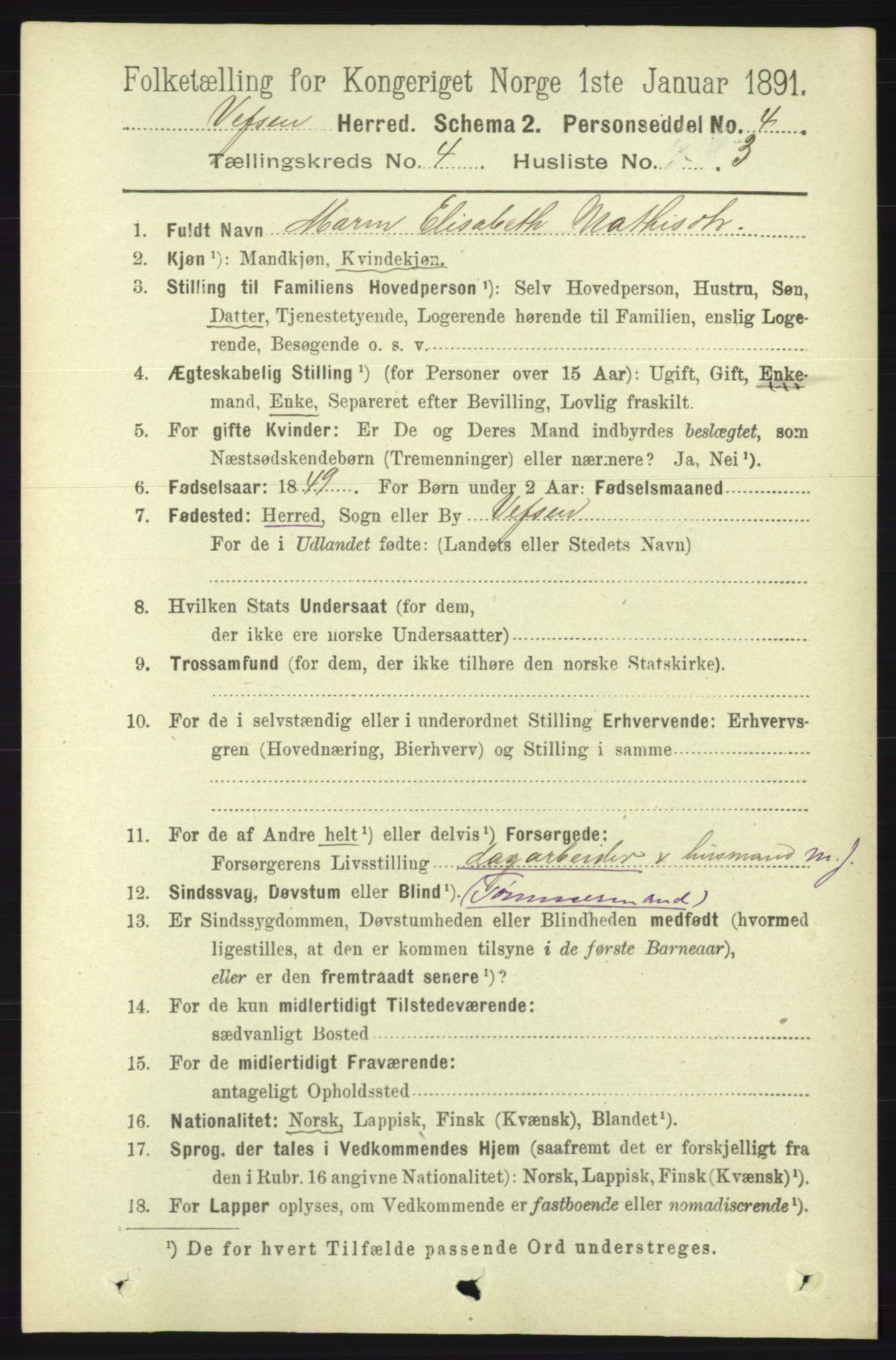 RA, 1891 census for 1824 Vefsn, 1891, p. 1641