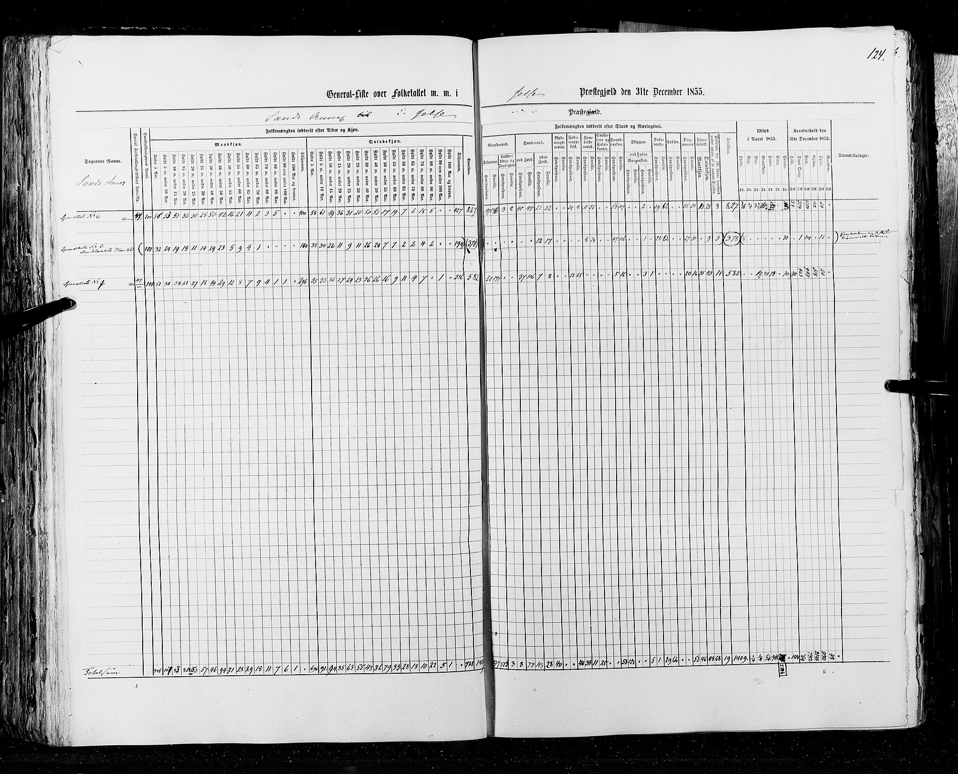 RA, Census 1855, vol. 4: Stavanger amt og Søndre Bergenhus amt, 1855, p. 124