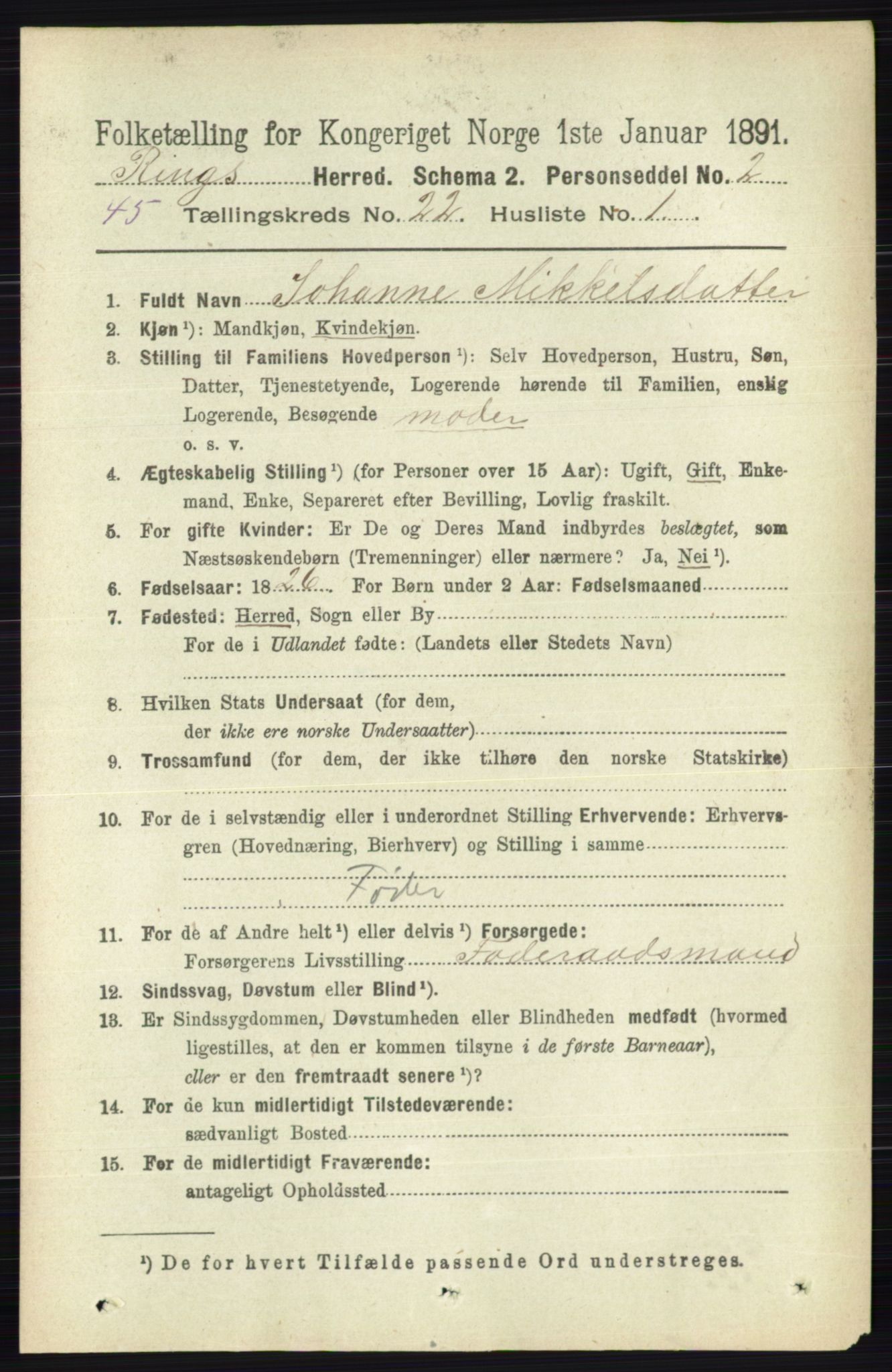 RA, 1891 census for 0412 Ringsaker, 1891, p. 12373